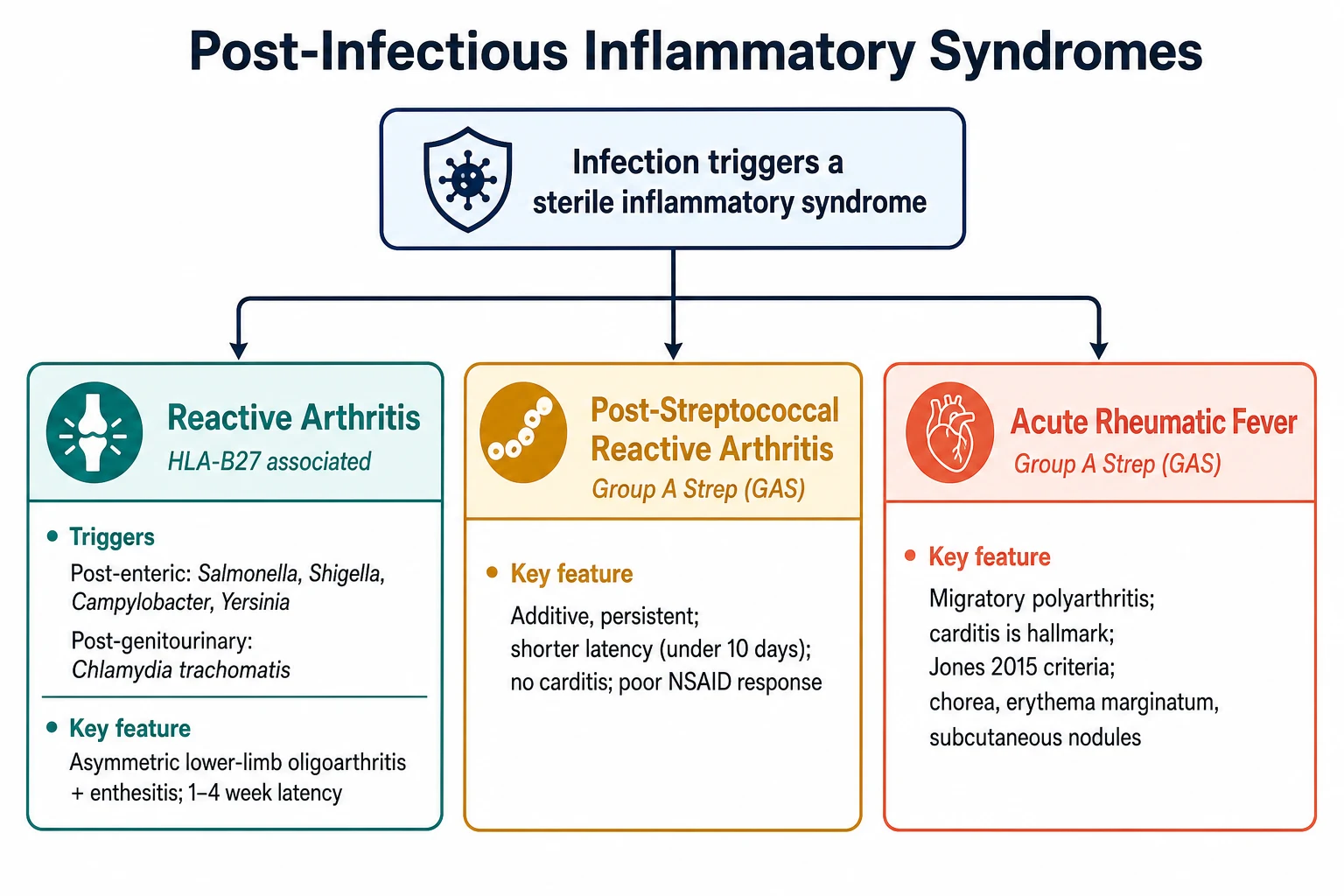 Classification tree of post-infectious inflammatory syndromes showing reactive arthritis, post-streptococcal reactive arthritis and acute rheumatic fever with their distinguishing features and trigger organisms