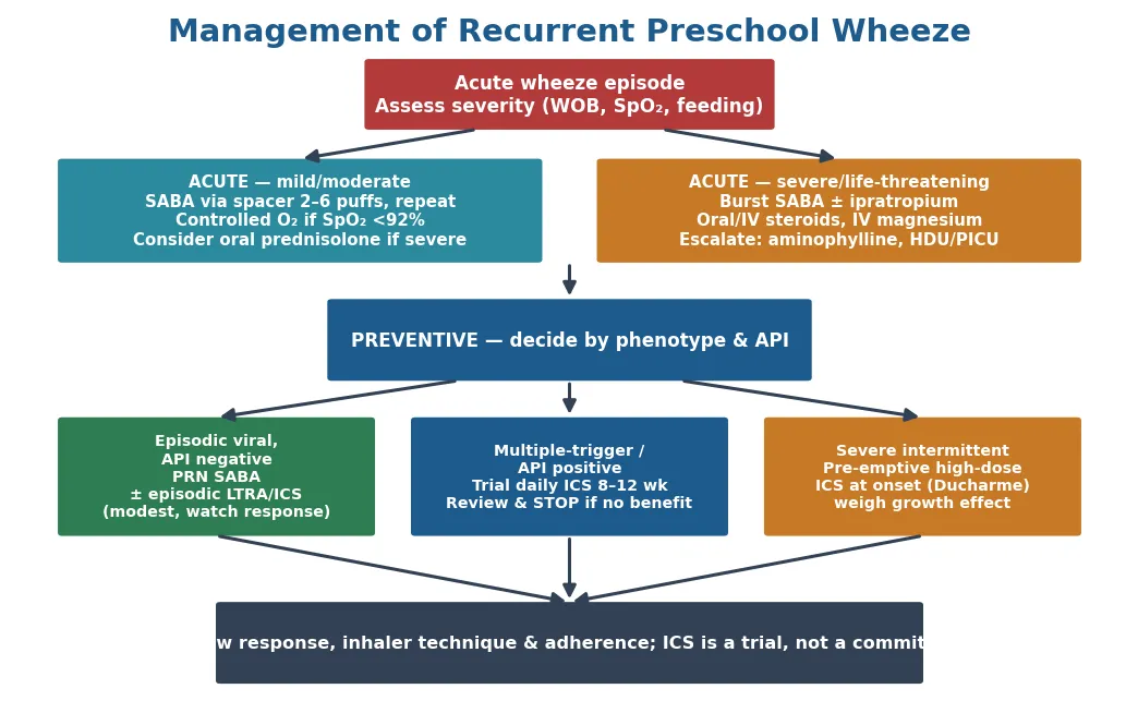 Management algorithm for recurrent preschool wheeze starting with the acute episode assessed for severity, splitting into a mild-to-moderate lane (salbutamol via spacer, controlled oxygen, consider oral prednisolone if severe) and a severe or life-threatening lane (burst salbutamol with ipratropium, systemic steroids, IV magnesium, escalation to HDU or PICU), then a preventive arm decided by phenotype and Asthma Predictive Index into three options: episodic viral API-negative (as-needed salbutamol, possible episodic leukotriene antagonist or inhaled steroid), multiple-trigger or API-positive (trial of daily inhaled corticosteroid for eight to twelve weeks then review and stop if no benefit), and severe intermittent (pre-emptive high-dose inhaled corticosteroid at onset weighed against growth effect), all feeding into a review of response, inhaler technique, and adherence