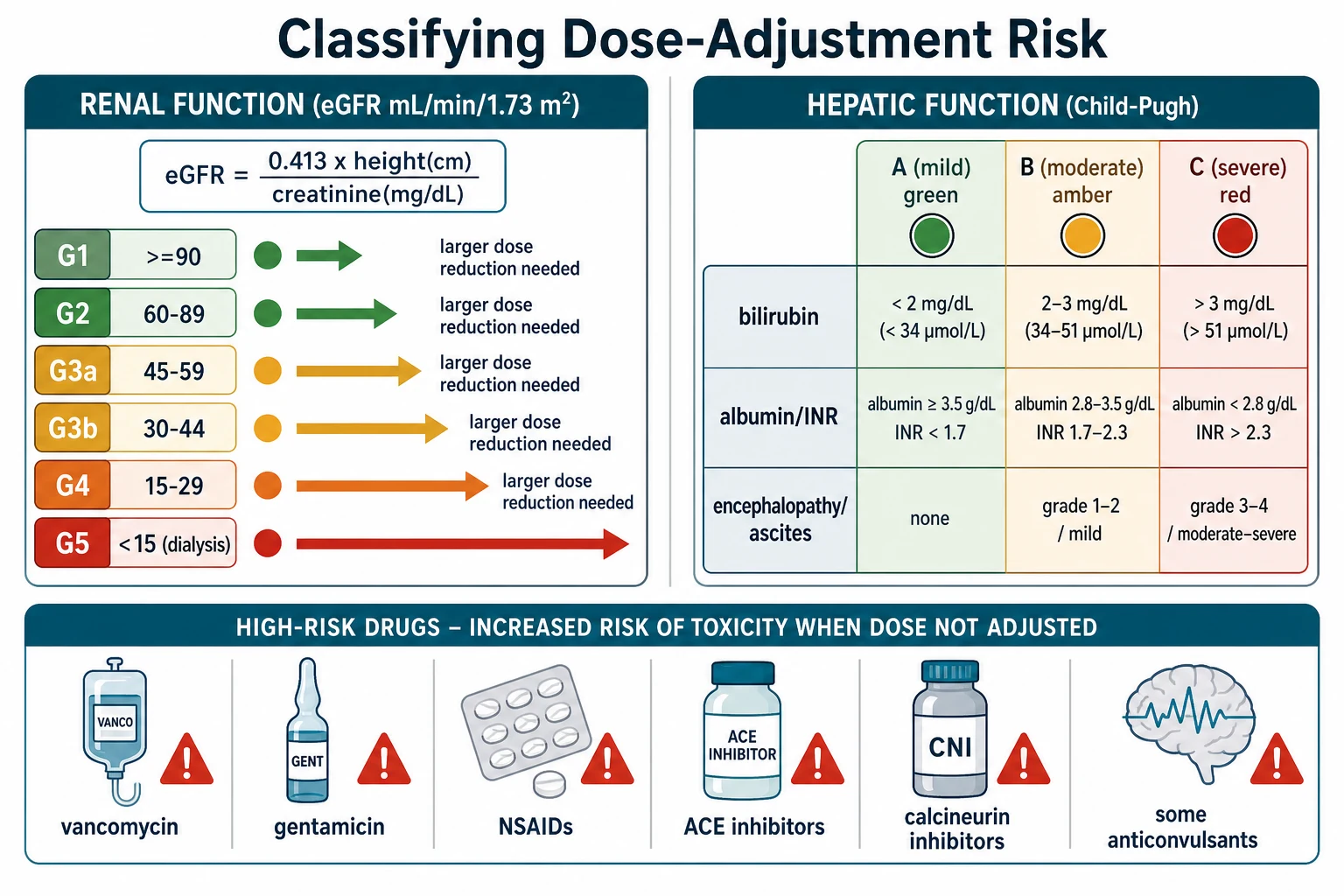 Educational schematic classifying dose-adjustment risk: a KDIGO eGFR ladder G1 to G5 with the bedside Schwartz formula on the left, a Child-Pugh A, B and C table in the middle, and high-risk drug icons below