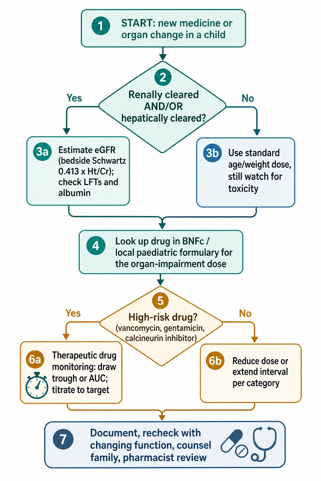 Educational flowchart of the stepwise paediatric dose-adjustment algorithm from start through organ-function estimation, formulary lookup, a high-risk drug branch leading to therapeutic drug monitoring, and a standard branch leading to dose or interval change, ending with documentation and pharmacist review