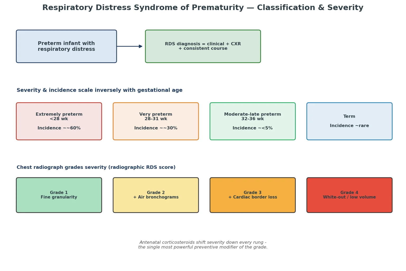 Educational two-tier figure showing a gestational-age incidence ladder from extremely preterm to term above a four-grade radiographic severity ladder from fine granulation to white-out, annotated with the preventive effect of antenatal corticosteroids