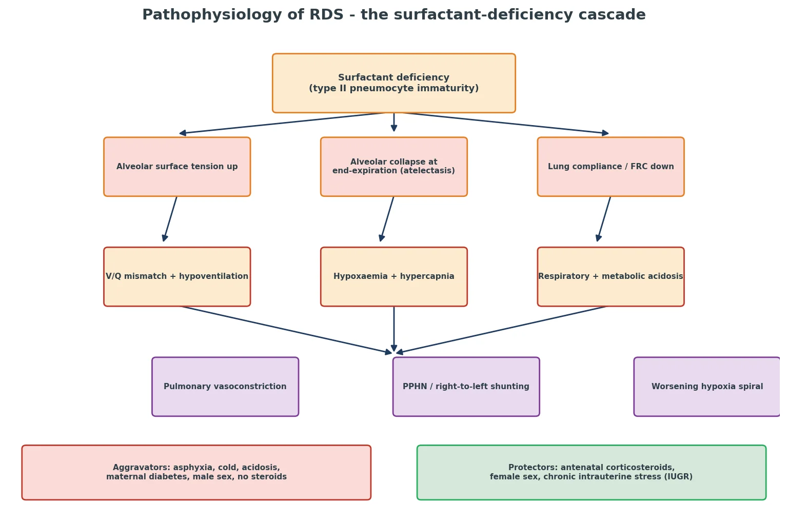 Educational top-down cascade from surfactant deficiency through raised surface tension, atelectasis, low compliance, ventilation-perfusion mismatch, hypoxaemia and acidosis to pulmonary vasoconstriction and persistent pulmonary hypertension, flanked by aggravator and protector boxes