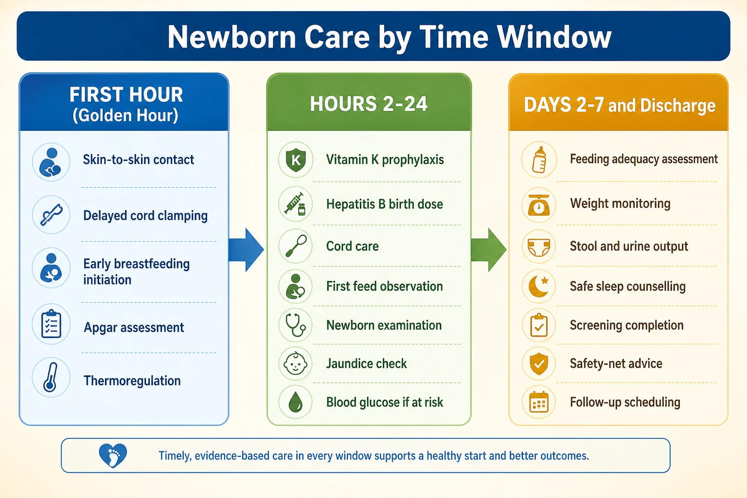 Educational timeline diagram showing newborn care tasks organised across three phases: first golden hour, hours 2 to 24, and days 2 to 7 with discharge