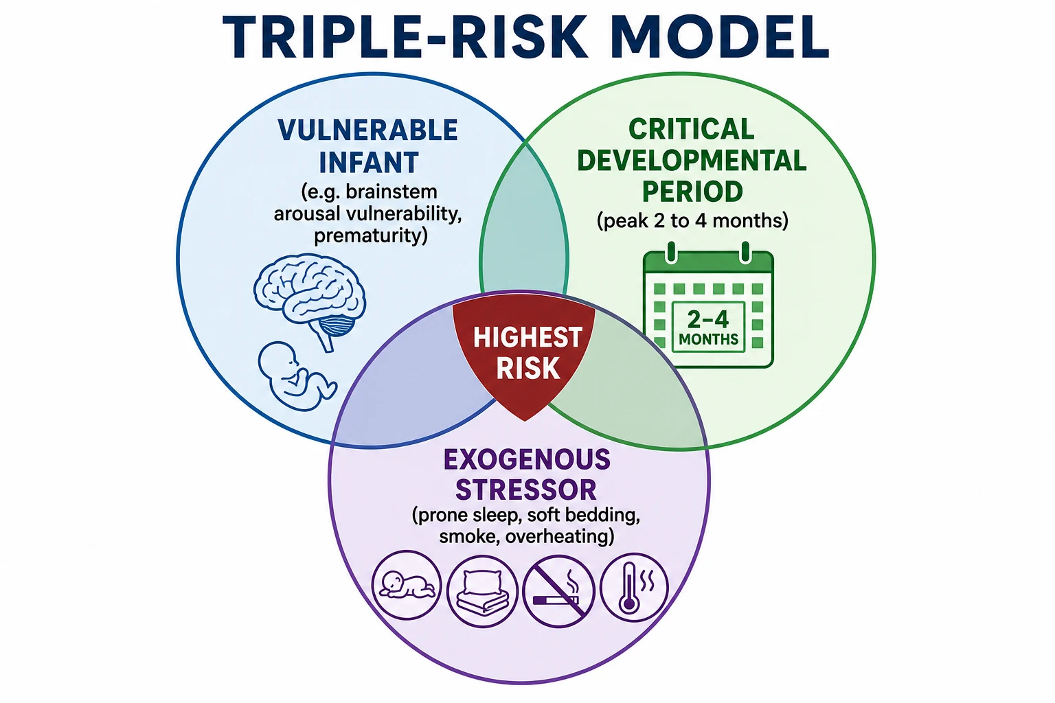 Triple-risk Venn diagram with overlapping circles labelled vulnerable infant, critical developmental period, and exogenous stressor, with highest risk at the centre