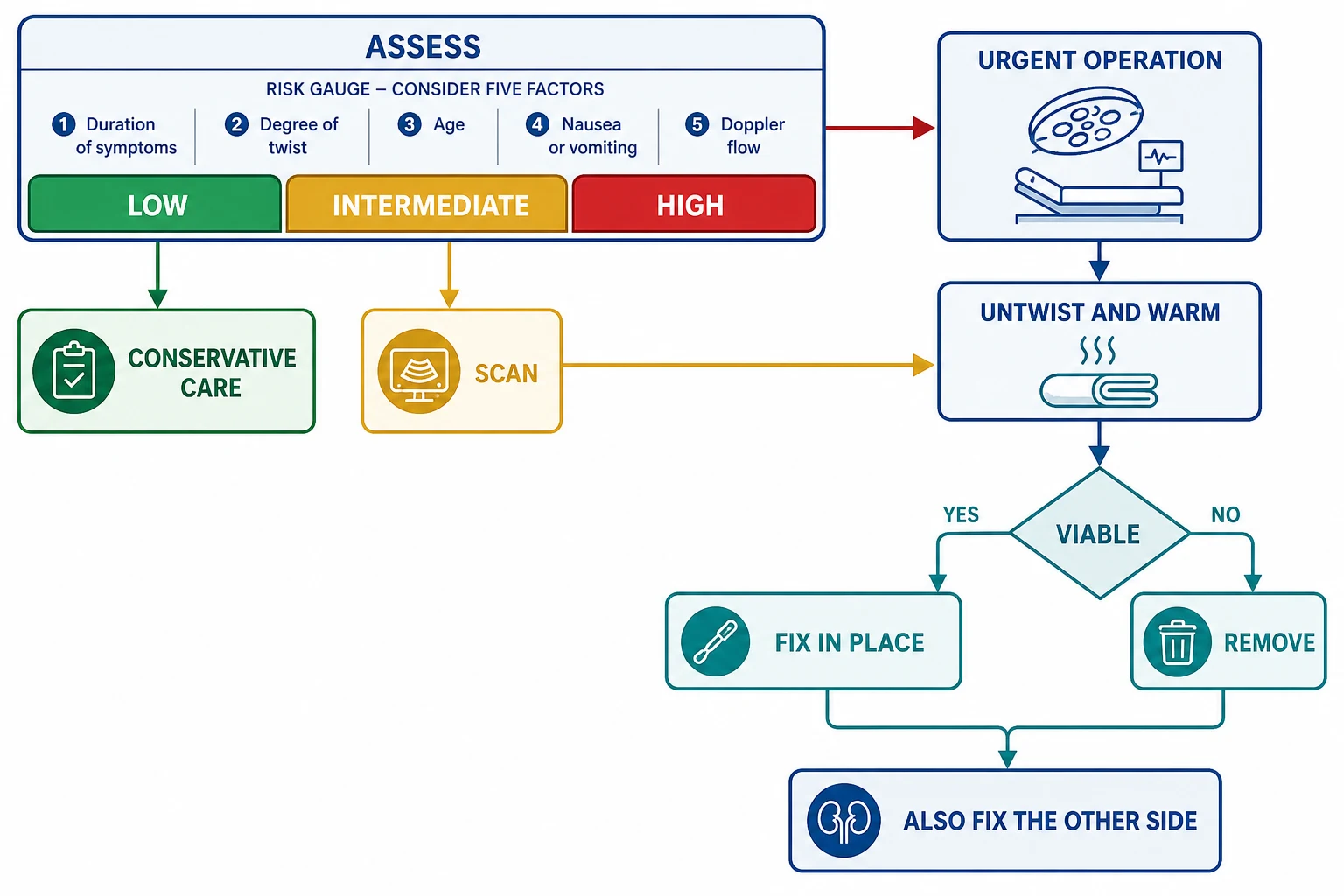 A medical-education management flowchart on a white background showing the stepwise pathway for a boy with acute scrotal pain as connected rounded boxes joined by downward arrows: apply the TWIST score at the bedside, high risk goes straight to urgent scrotal exploration, detorsion and warm saline with viability assessment, a viable testis receives ipsilateral orchidopexy, a necrotic testis receives orchidectomy, and every case receives contralateral orchidopexy, with an intermediate-risk branch through colour Doppler ultrasound and a low-risk branch to conservative management.