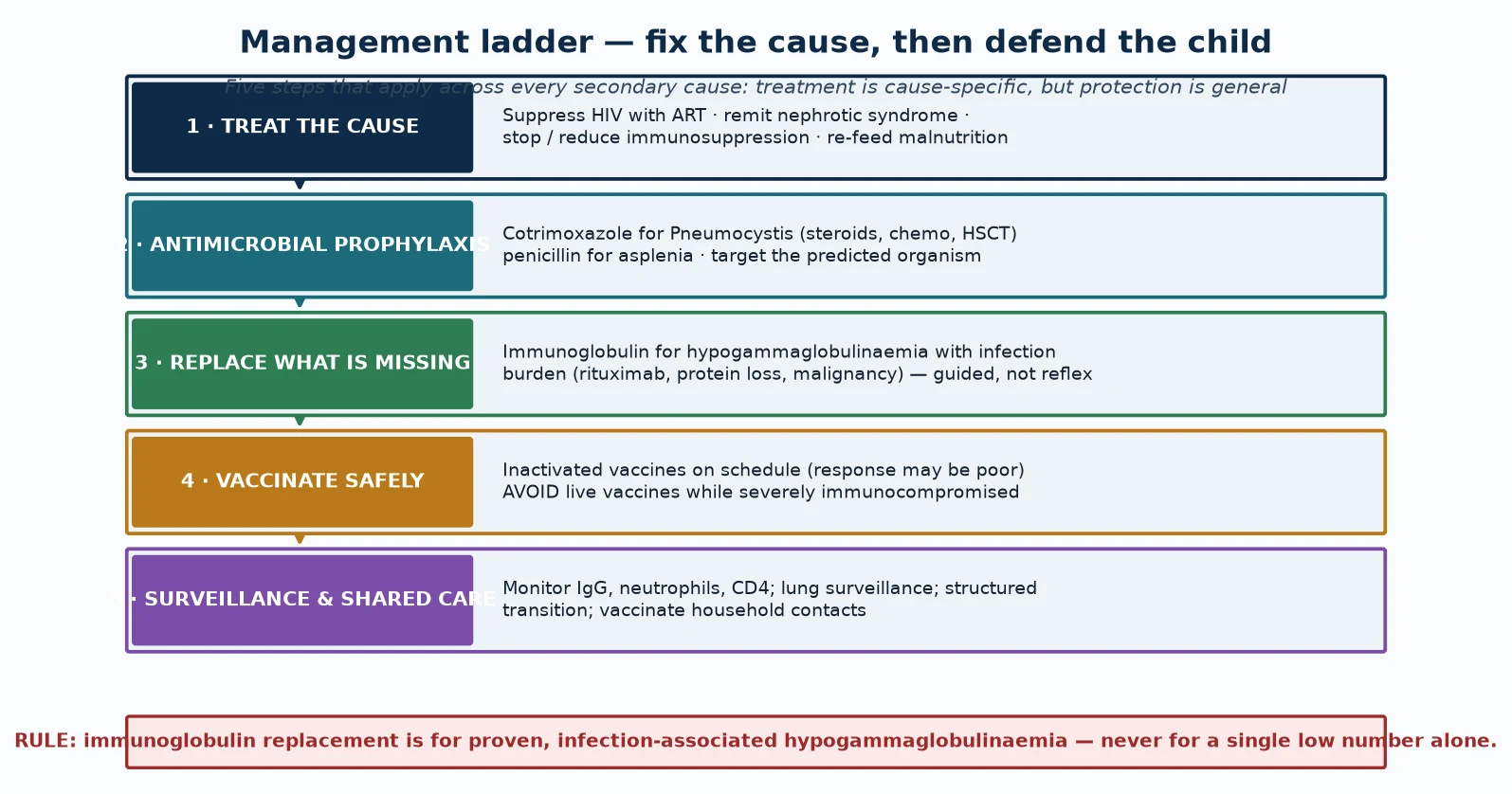 Five-step management ladder — treat the cause, antimicrobial prophylaxis, replace what is missing, vaccinate safely, surveil and share care — with a footer rule that immunoglobulin replacement is for proven infection-associated hypogammaglobulinaemia
