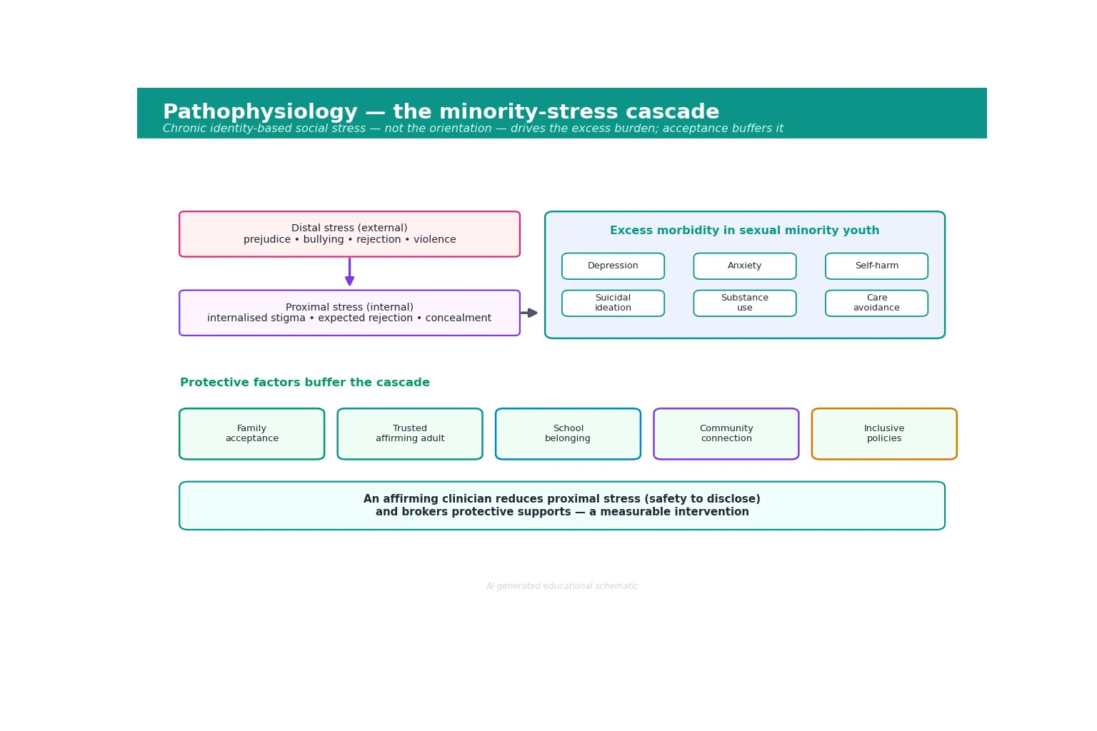 Mechanism diagram of the minority-stress cascade with distal and proximal stress driving excess depression, anxiety, self-harm, suicidal ideation, substance use and care avoidance, buffered by protective factors such as family acceptance, an affirming adult, school belonging, community and inclusive policies