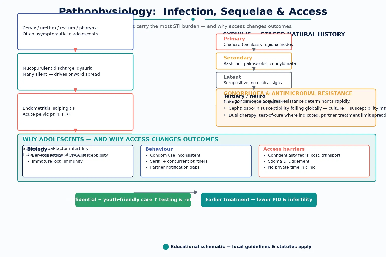 Educational mechanism diagram showing ascending chlamydia/gonorrhoea infection to PID and infertility, gonococcal resistance, syphilis staging, and adolescent access barriers