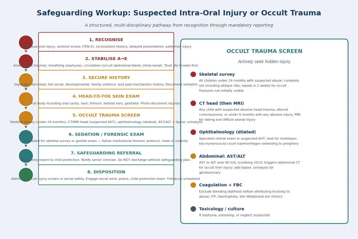 Educational stepwise algorithm for suspected child sexual abuse and STI exposure from triage through forensic sampling, prophylaxis, mandated reporting and multidisciplinary follow-up, with a red-flag safety interrupt bar