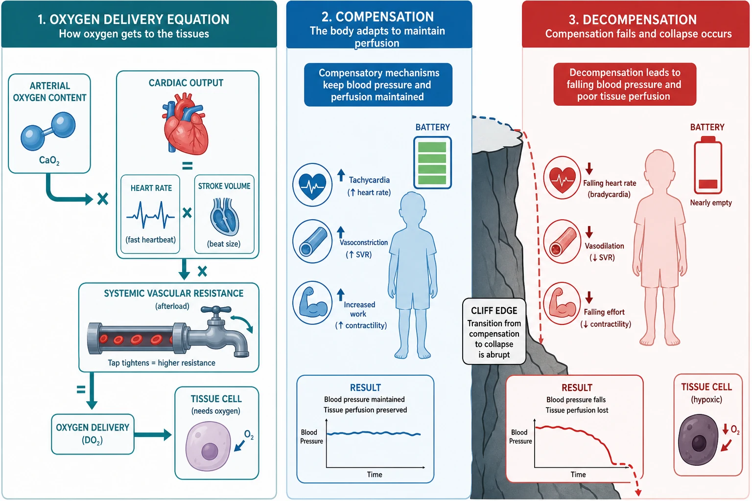 Reviewed educational schematic showing oxygen delivery flowing from arterial oxygen content into cardiac output (heart rate times stroke volume), modulated by systemic vascular resistance, feeding a tissue cell. The middle shows compensation with tachycardia and vasoconstriction preserving blood pressure; the right shows a cliff-edge transition to decompensation with falling heart rate, vasodilation, a hypoxic cell and a blood pressure curve dropping away.