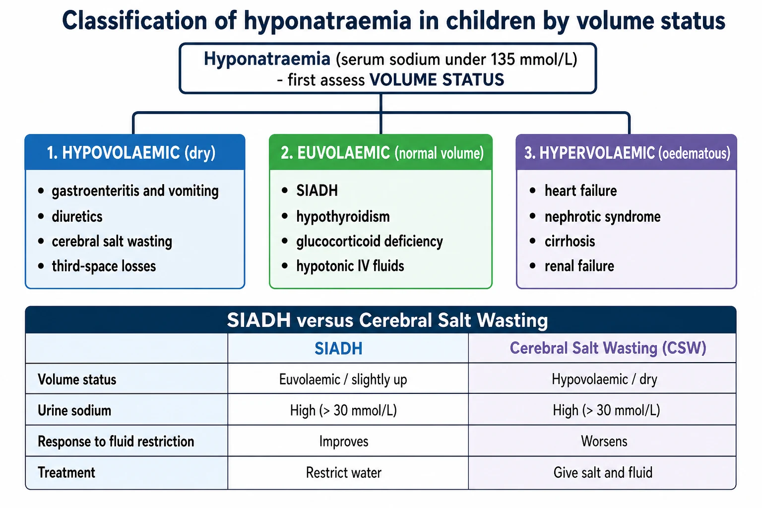 Classification tree of paediatric hyponatraemia by volume status. Top node is hyponatraemia with serum sodium under 135 mmol per litre, first assess volume status. Hypovolaemic dry branch shows gastroenteritis and vomiting, diuretics, cerebral salt wasting, and third-space losses. Euvolaemic normal-volume branch shows SIADH, hypothyroidism, glucocorticoid deficiency, and hypotonic IV fluids. Hypervolaemic oedematous branch shows heart failure, nephrotic syndrome, cirrhosis, and renal failure. A comparison box contrasts SIADH versus cerebral salt wasting on volume status, urine sodium, response to fluid restriction, and treatment.