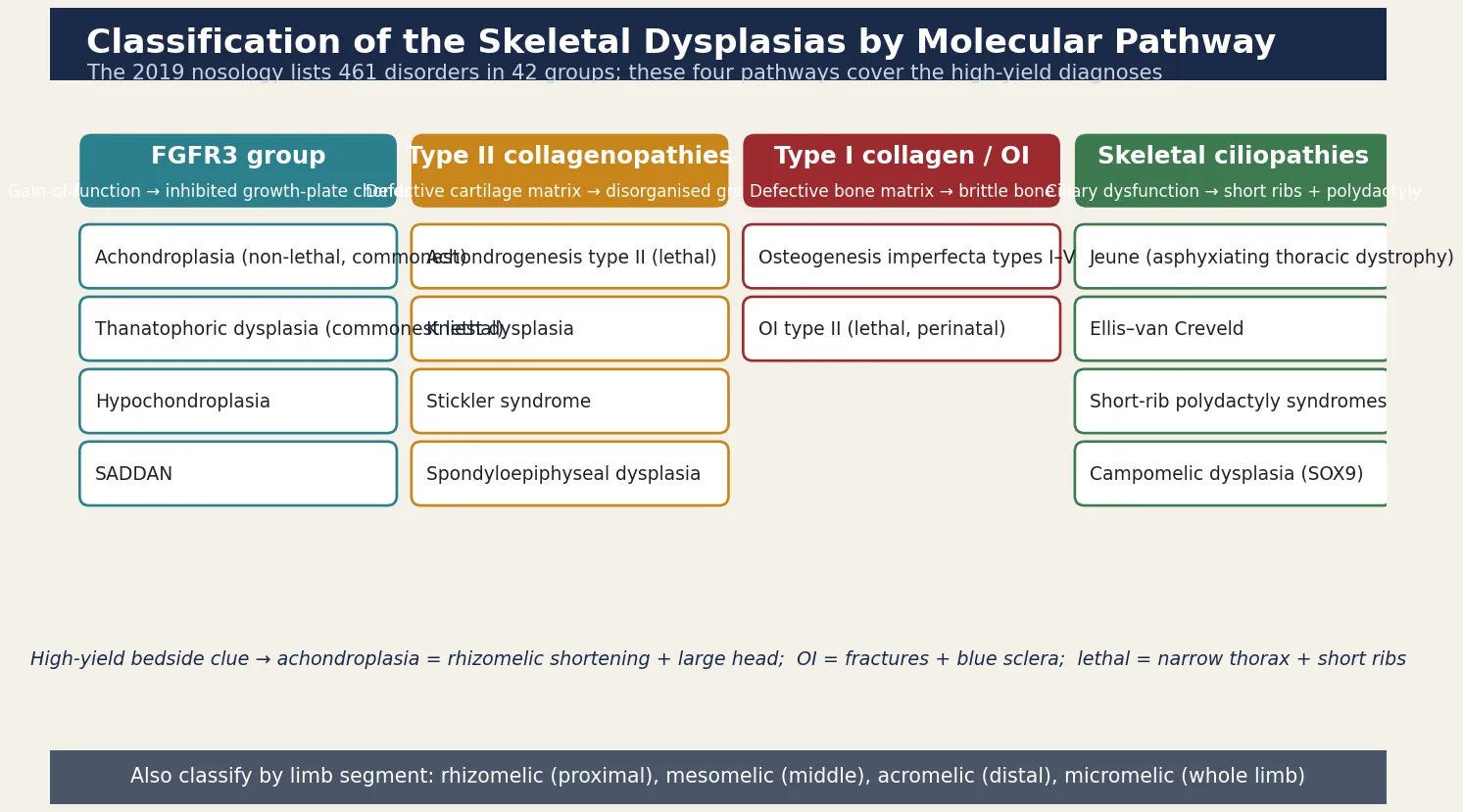 Classification of skeletal dysplasias by molecular pathway: FGFR3 group (achondroplasia, thanatophoric, hypochondroplasia), type II collagenopathies (achondrogenesis, Kniest, Stickler, spondyloepiphyseal dysplasia), type I collagen osteogenesis imperfecta, and skeletal ciliopathies (Jeune, Ellis-van Creveld, short-rib polydactyly, campomelic), each with the gene and cardinal feature