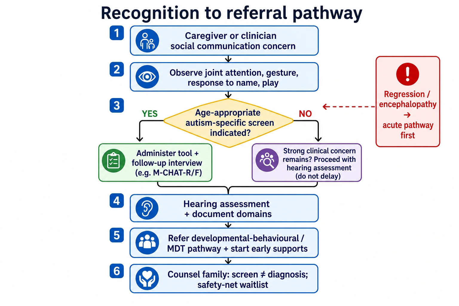 Algorithm from social communication concern through observation, autism-specific screening, hearing check, referral and safety-net follow-up