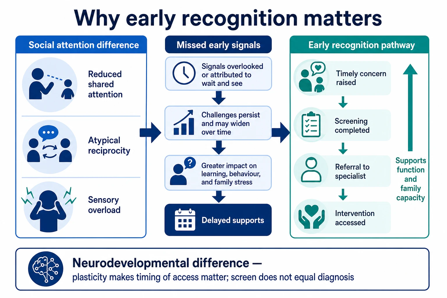 Mechanism map linking social attention differences and missed early signals to delayed supports versus early recognition opening intervention access
