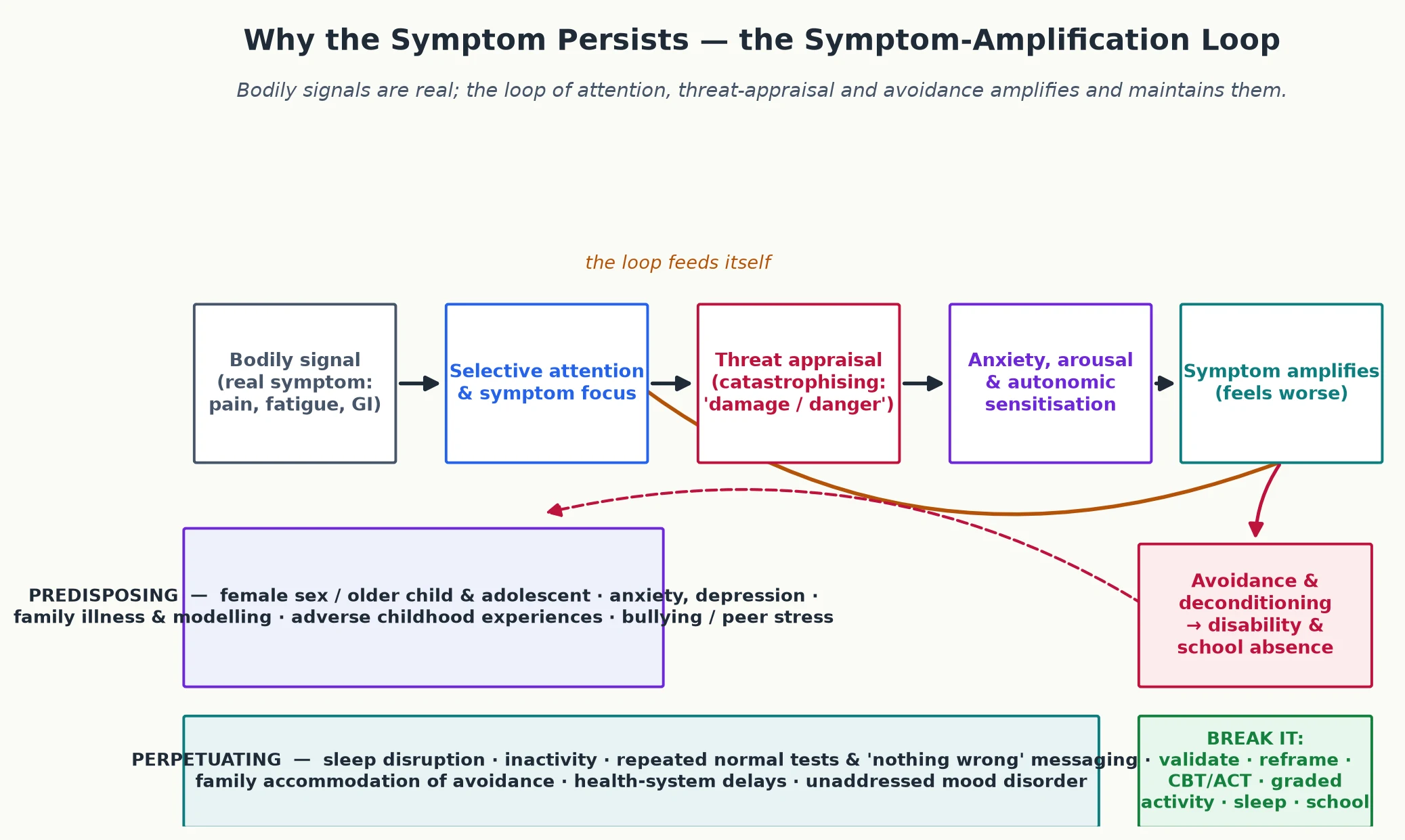 Educational mechanism diagram of the symptom-amplification loop — bodily signal to selective attention to catastrophising threat appraisal to anxiety and arousal to symptom amplification — with avoidance and deconditioning feeding disability, and predisposing and perpetuating factors, plus the interventions that break the loop