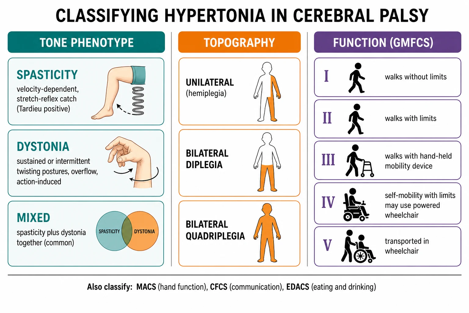 A three-column classification diagram on a white background showing tone phenotype (spasticity, dystonia, mixed) in teal, topography (unilateral hemiplegia, bilateral diplegia, bilateral quadriplegia) in orange, and Gross Motor Function Classification System levels I to V in purple, each with a small walking-figure icon of decreasing mobility, with a footer noting the MACS, CFCS and EDACS classifications.