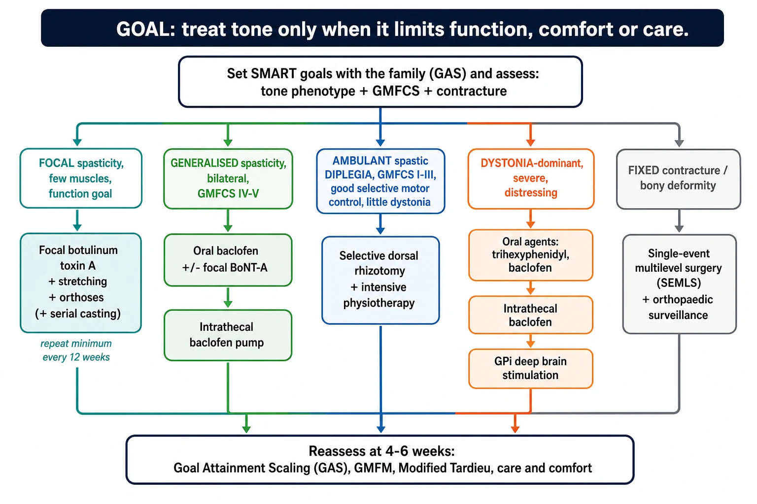 A goal-directed management algorithm on a white background. A top banner reads treat tone only when it limits function, comfort or care. Five colour-coded branches drop to therapy boxes: focal spasticity to botulinum toxin plus orthoses and casting with a twelve-week repeat note, generalised spasticity to oral baclofen then intrathecal baclofen, ambulant spastic diplegia to selective dorsal rhizotomy plus intensive physiotherapy, dystonia-dominant to trihexyphenidyl and baclofen then intrathecal baclofen then GPi deep brain stimulation, and fixed contracture to single-event multilevel surgery. All branches converge on a reassess box for Goal Attainment Scaling, the Gross Motor Function Measure and the Modified Tardieu Scale.