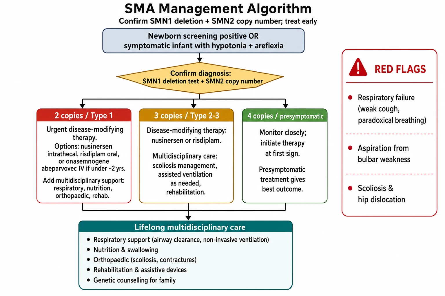 A management algorithm flowchart on a white background flowing from a positive newborn screen or a symptomatic floppy infant through confirmation of the SMN1 deletion and SMN2 copy number, then therapy stratified by SMN2 copy number into type 1 type 2 to 3 and presymptomatic branches, then lifelong multidisciplinary care, with a red-flag callout for respiratory failure aspiration and scoliosis.