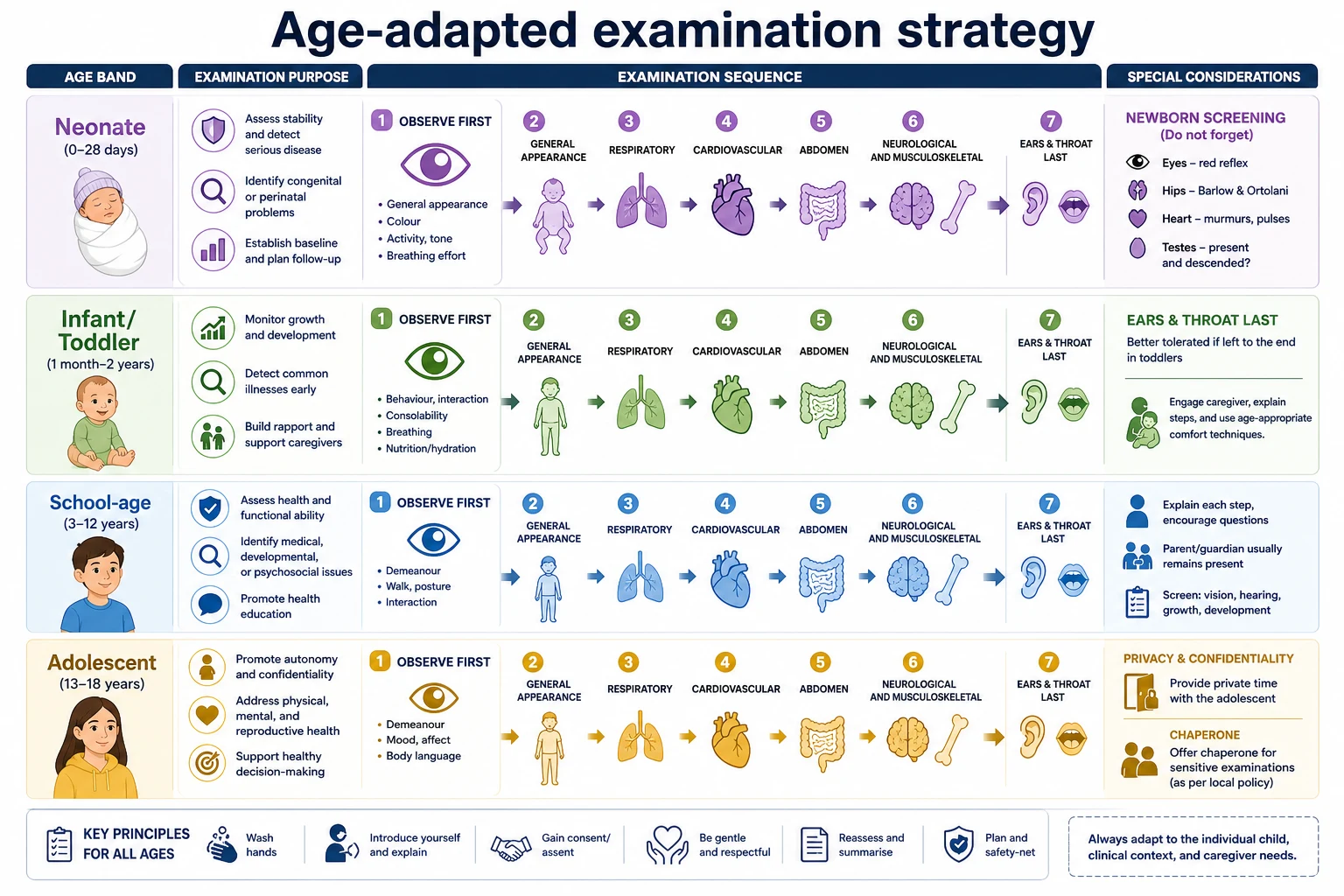 Educational schematic of age-banded examination strategy from neonate through adolescent with observe-first sequencing and newborn screening emphasis