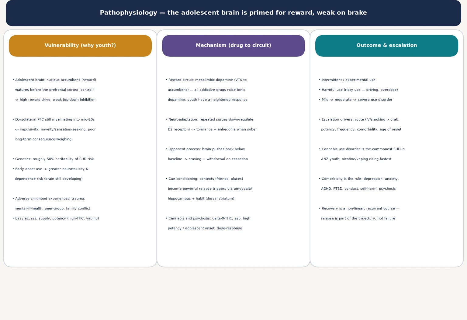 Educational biopsychosocial schematic of youth substance use: vulnerability factors including adolescent brain reward-versus-control mismatch, drug mechanism through mesolimbic dopamine and opponent process, and outcomes from experimental use to severe disorder with comorbidity
