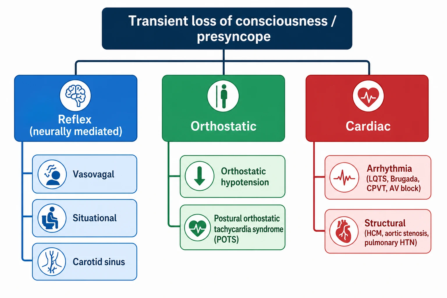 Classification of syncope and presyncope in children by mechanism. Three colour-coded columns. Reflex (neurally mediated) syncope in blue: vasovagal syncope (the commonest), situational syncope (venepuncture, micturition, hair-grooming, cough) and carotid sinus syncope. Orthostatic syncope in green: orthostatic hypotension and postural orthostatic tachycardia syndrome (POTS). Cardiac syncope in red: arrhythmic causes (long-QT syndrome, Brugada syndrome, catecholaminergic polymorphic ventricular tachycardia, Wolff-Parkinson-White, congenital complete heart block) and structural causes (hypertrophic cardiomyopathy, aortic stenosis, pulmonary hypertension). The history, orthostatic vital signs and ECG place the child in the correct branch.