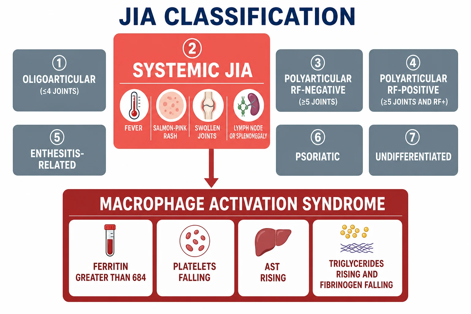 A clean schematic on a white background showing the seven ILAR categories of juvenile idiopathic arthritis arranged in two rows with the systemic JIA box highlighted in coral at the top, its four defining features as small icons, and a downward arrow leading to a deep-red panel for macrophage activation syndrome with four criterion tiles for the ferritin, the platelets, the AST and the triglyceride and fibrinogen thresholds