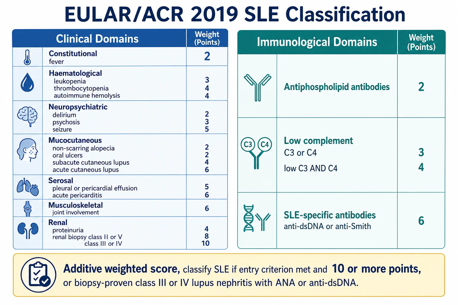 The EULAR/ACR 2019 weighted classification criteria for systemic lupus erythematosus, with an entry criterion of a positive antinuclear antibody followed by an additive score across clinical domains (constitutional, haematological, neuropsychiatric, mucocutaneous, serosal, musculoskeletal, and renal) and immunological domains (antiphospholipid antibodies, complement, and SLE-specific antibodies), with a classification threshold of 10 points and a biopsy-proven lupus nephritis shortcut, contrasted with the SLICC 2012 criteria that require at least one clinical and one immunological criterion.