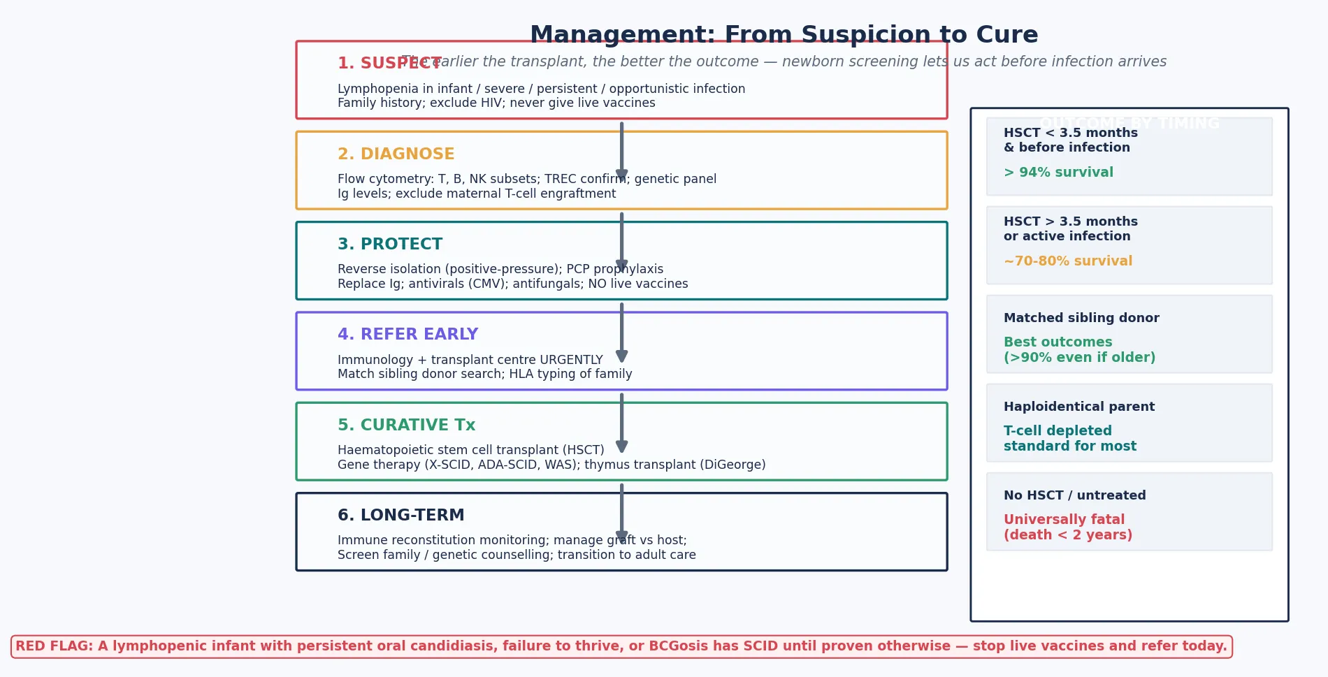 Six-step management algorithm: suspect (lymphopenia, opportunistic infection, family history, no live vaccines), diagnose (flow cytometry subsets, TREC confirm, genetic panel, immunoglobulin, exclude maternal engraftment), protect (reverse isolation, PCP prophylaxis, immunoglobulin, antivirals, antifungals, no live vaccines, irradiated blood), refer early (immunology and transplant centre, match sibling donor search, HLA typing), curative therapy (haematopoietic stem cell transplant or gene therapy or thymus transplant), long-term follow-up (immune reconstitution, graft-versus-host, malignancy surveillance, genetic counselling, transition); an outcome panel on the right shows above 94 percent survival if transplanted before 3.5 months and before infection, falling to 70-80% if later or with infection, with a red-flag footer