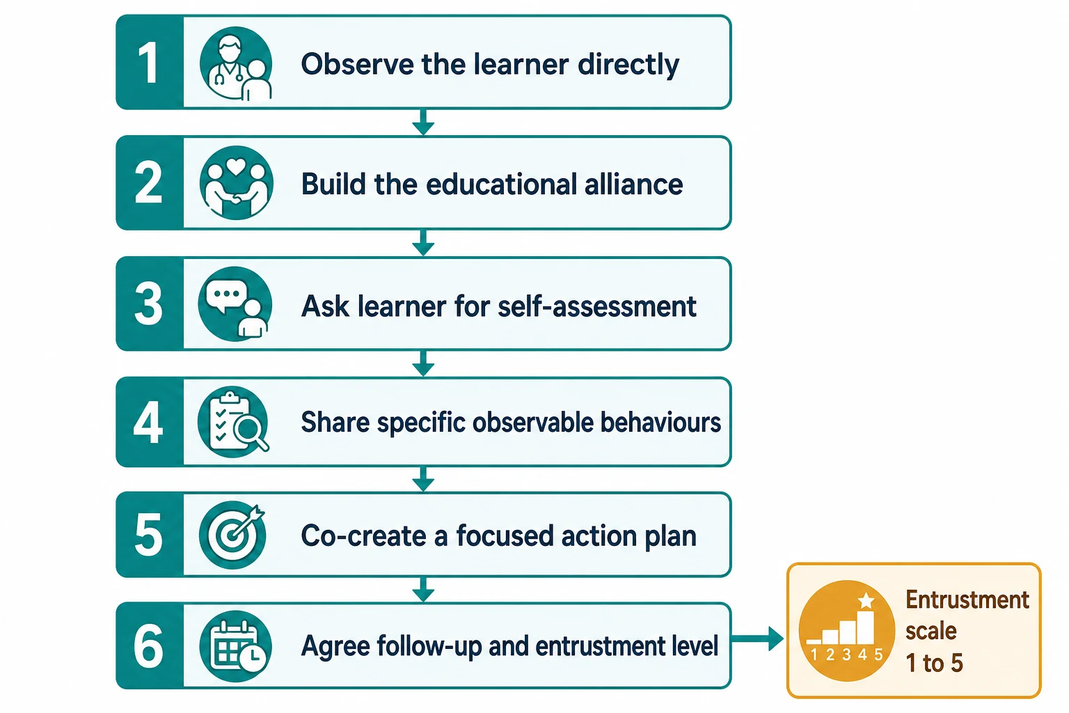 Stepwise algorithm from observing the learner through building the alliance, asking for self-assessment, sharing specific behaviours, co-creating an action plan, to agreeing follow-up and entrustment level