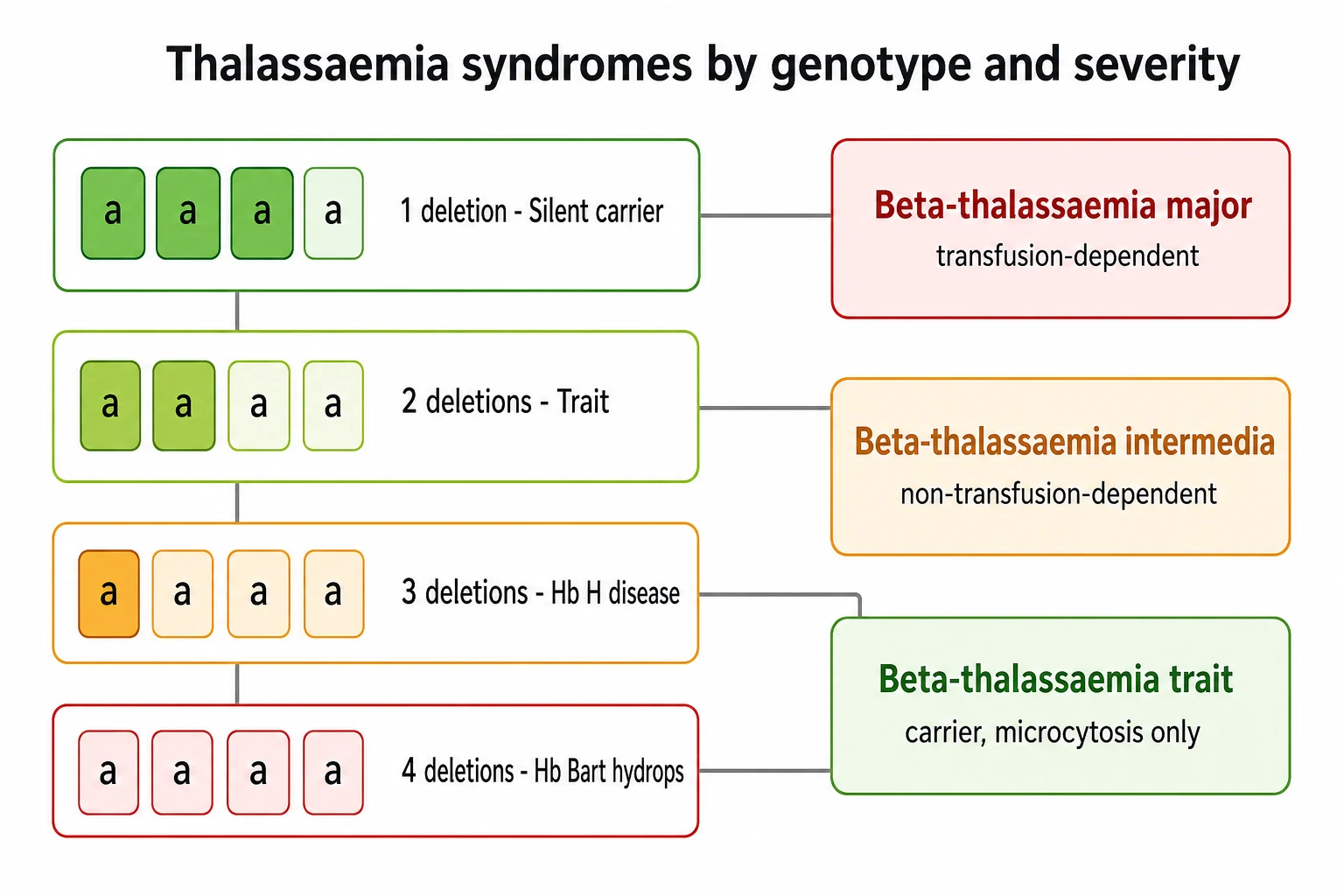 A clean medical-education schematic on a white background. The left half shows a vertical ladder of four rows for alpha-thalassaemia, each row with four small gene rectangles labelled a. The top green row shows three solid and one pale rectangle labelled one deletion silent carrier. The lime row shows two solid and two pale labelled two deletions trait. The amber row shows one solid and three pale labelled three deletions Hb H disease. The red row shows four pale rectangles labelled four deletions Hb Bart hydrops. The right half shows three colour-coded boxes for beta-thalassaemia stacked vertically: a red box beta-thalassaemia major transfusion-dependent, an amber box beta-thalassaemia intermedia non-transfusion-dependent, and a green box beta-thalassaemia trait carrier microcytosis only.
