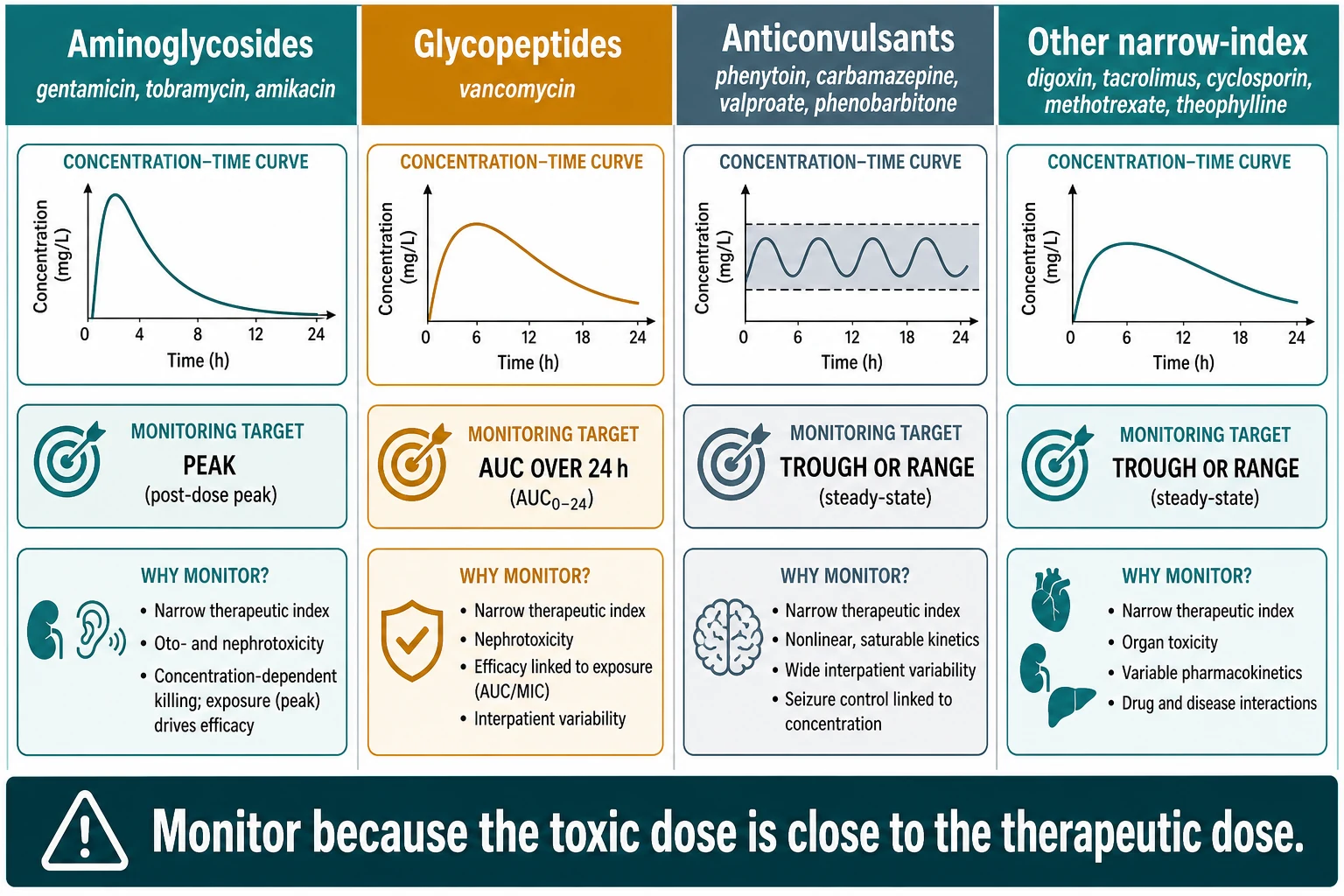 Educational infographic classifying monitored drugs into four columns — aminoglycosides, glycopeptides (vancomycin), anticonvulsants, and other narrow-index drugs — each with a concentration-time curve icon, the monitoring target, and the reason to monitor
