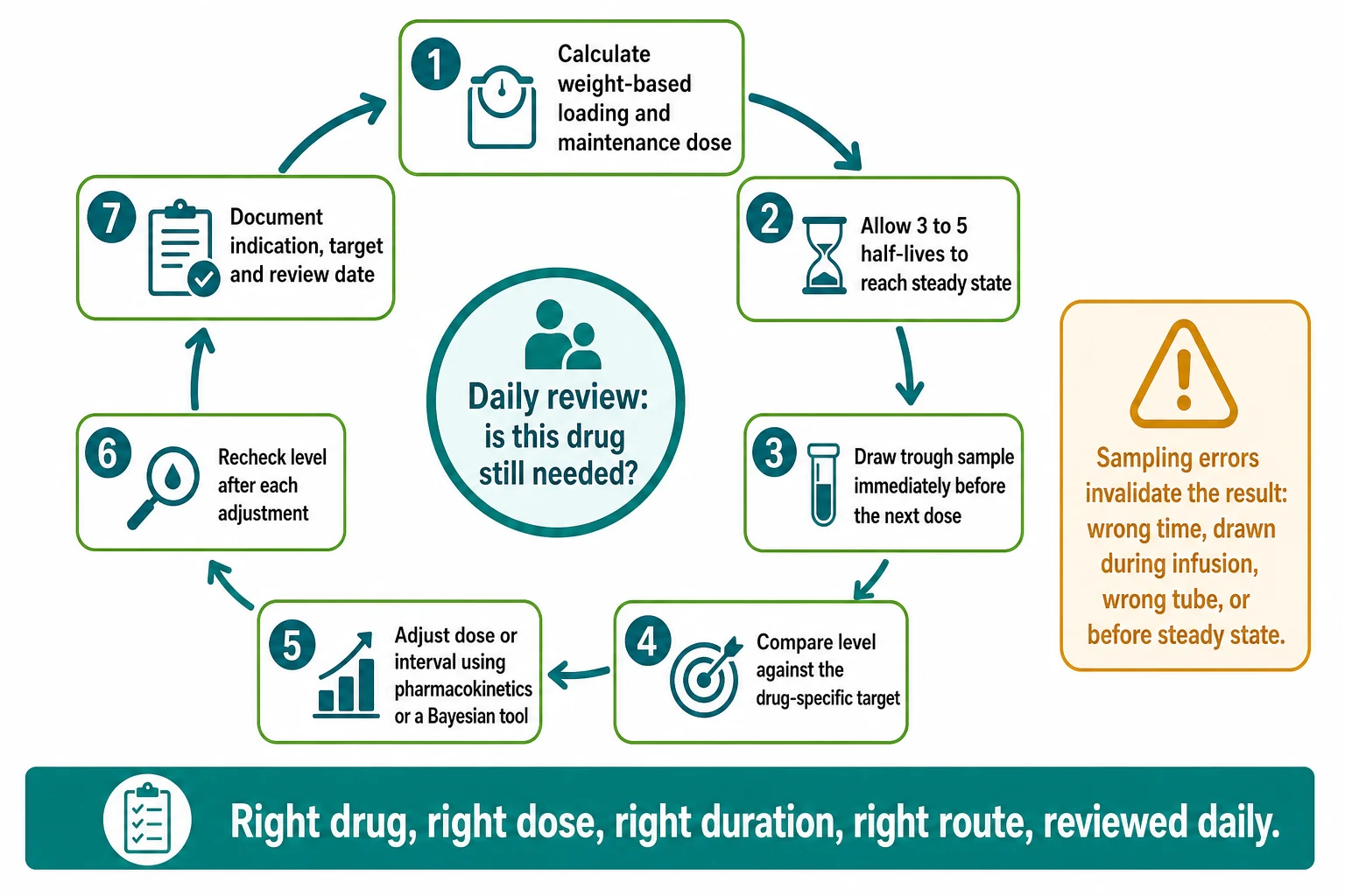 Educational flowchart of the seven-step therapeutic drug monitoring cycle — weight-based dose, reach steady state, true-trough sample, compare to target, adjust dose or interval, recheck after adjustment, document — with a daily-review hub at the centre and a sampling-error warning box
