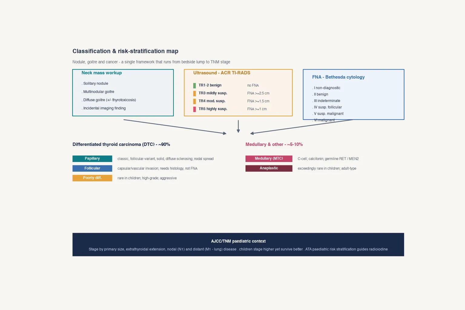 Educational schematic of paediatric thyroid nodule classification from neck mass workup through ACR TI-RADS ultrasound tiers and Bethesda cytology categories into differentiated medullary and anaplastic cancer histologies with TNM staging context