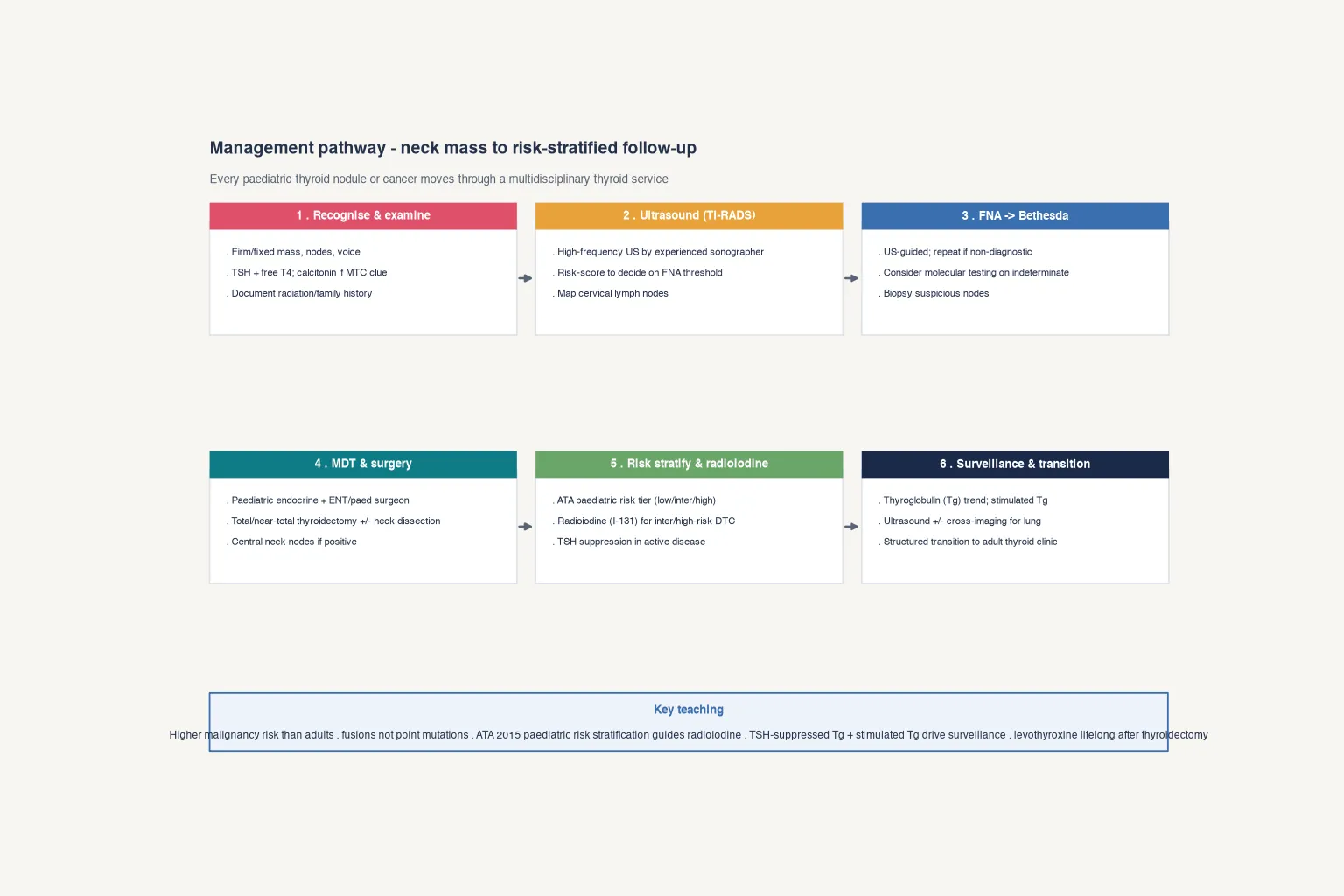 Educational flowchart of paediatric thyroid management from recognition and examination through ultrasound and FNA to multidisciplinary surgery risk-adapted radioiodine and long-term surveillance with transition