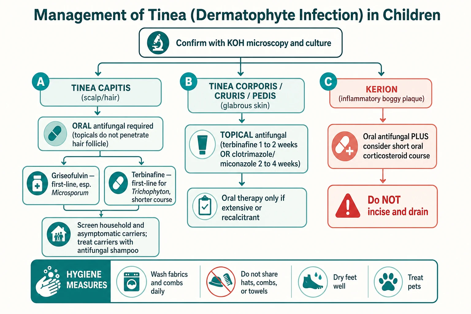 Educational flowchart for the management of tinea in children, starting from confirmation with potassium hydroxide and culture and branching into oral antifungal therapy with household carrier screening for tinea capitis, topical antifungal therapy for corporis, cruris and pedis, and oral antifungal plus corticosteroid without incision for kerion, with a hygiene and source-control band
