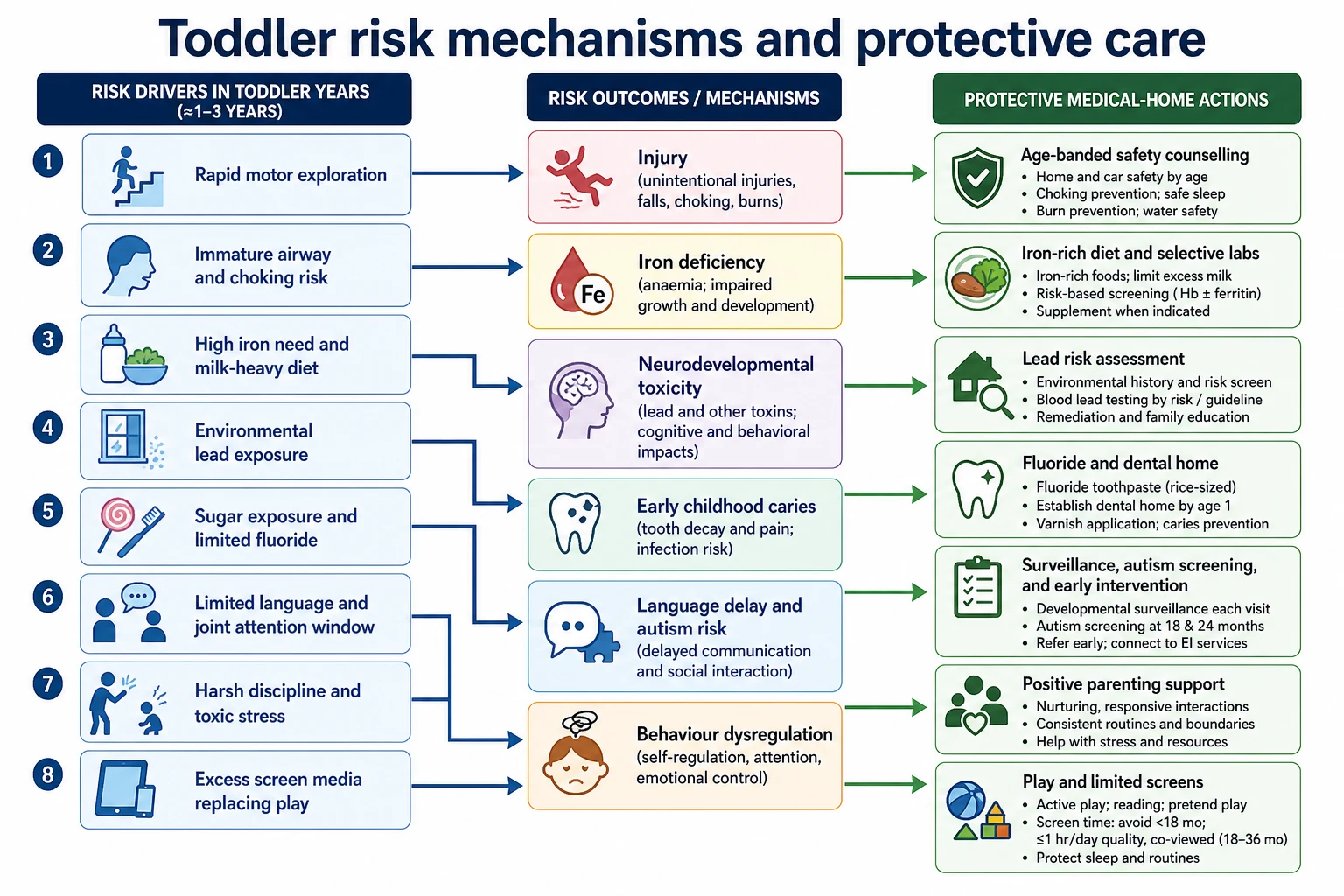 Causal mechanism map linking toddler exploration, nutrition, toxic exposures and interaction quality to injury caries iron lead and language risk