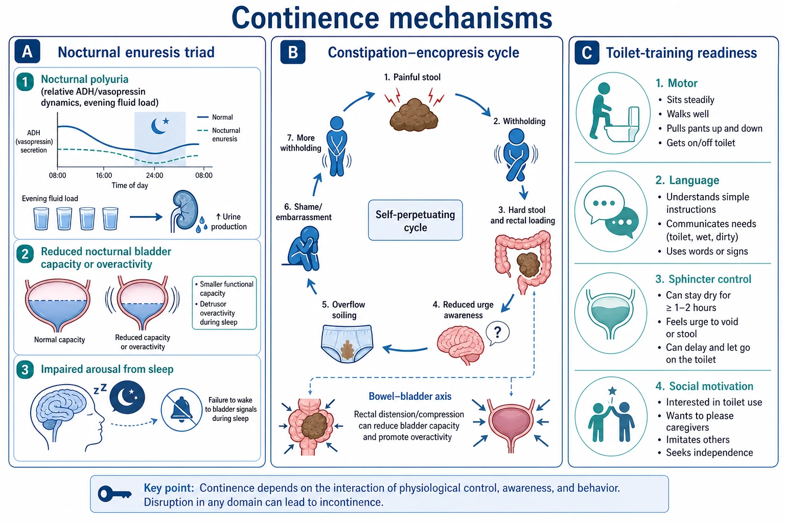 Educational mechanism panels showing enuresis triad, constipation-overflow cycle and toilet-training readiness domains