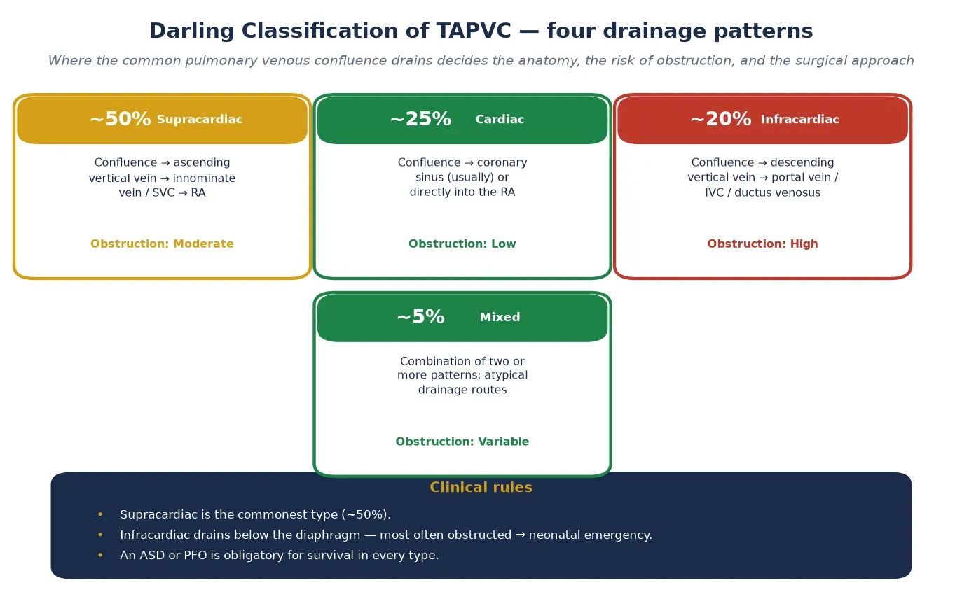 Darling classification of TAPVC showing four drainage pattern cards — supracardiac about fifty per cent draining via an ascending vertical vein to the innominate vein or superior vena cava, cardiac about twenty-five per cent draining to the coronary sinus or right atrium, infracardiac about twenty per cent draining via a descending vertical vein below the diaphragm to the portal vein or inferior vena cava, and mixed about five per cent combining patterns — each labelled with its obstruction risk, beside a clinical-rules panel