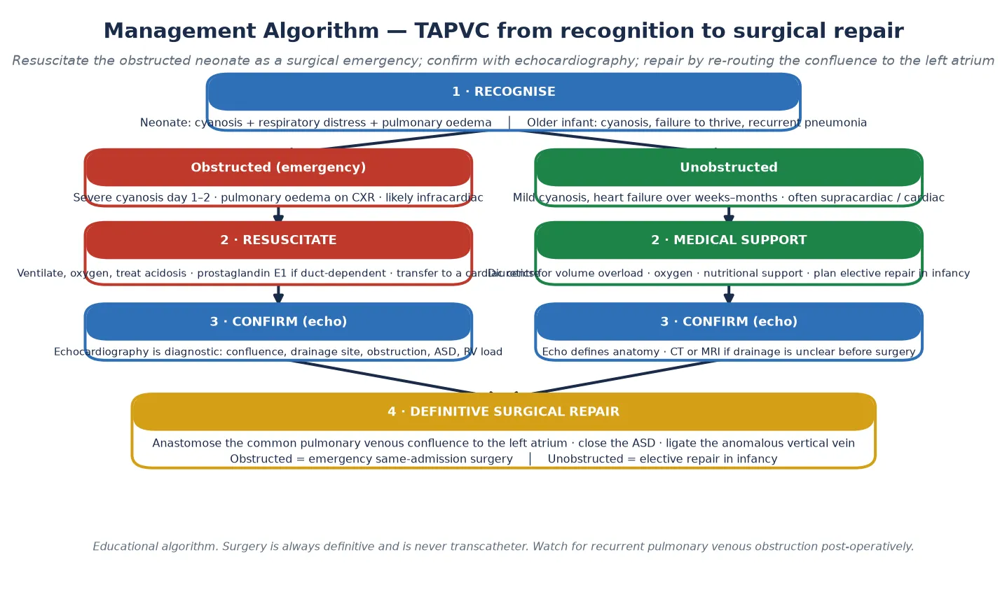 Management algorithm for TAPVC showing step 1 recognise the cyanosed neonate with pulmonary oedema branching into obstructed emergency versus unobstructed, step 2 resuscitate with ventilation oxygen and acidosis correction or medical support, step 3 confirm with echocardiography, converging into step 4 definitive surgical repair anastomosing the pulmonary venous confluence to the left atrium closing the atrial septal defect and ligating the anomalous vertical vein