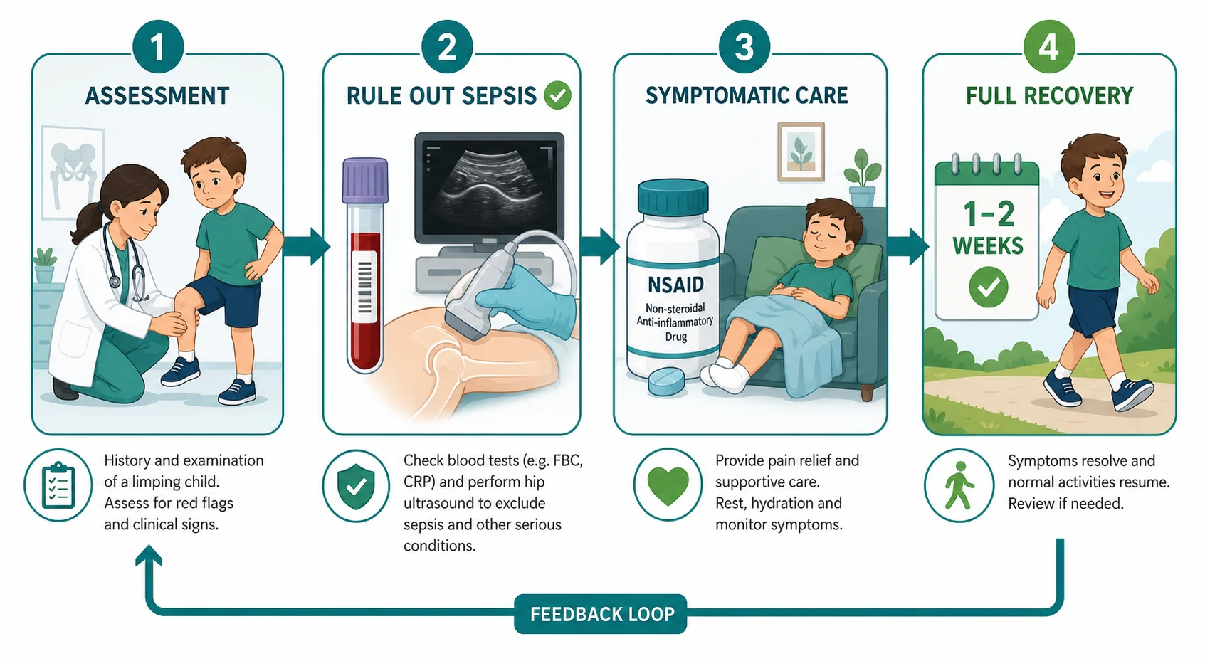 Management pathway flowing left to right through four connected stations with arrows in a flat vector medical style — first a doctor assessing a limping child, second a laboratory blood tube and an ultrasound probe over a hip with a green checkmark for ruling out sepsis, third a medicine bottle and pill representing a non-steroidal anti-inflammatory drug beside a resting child on a sofa, and fourth a calendar showing one to two weeks with a child walking happily again and a feedback loop arrow
