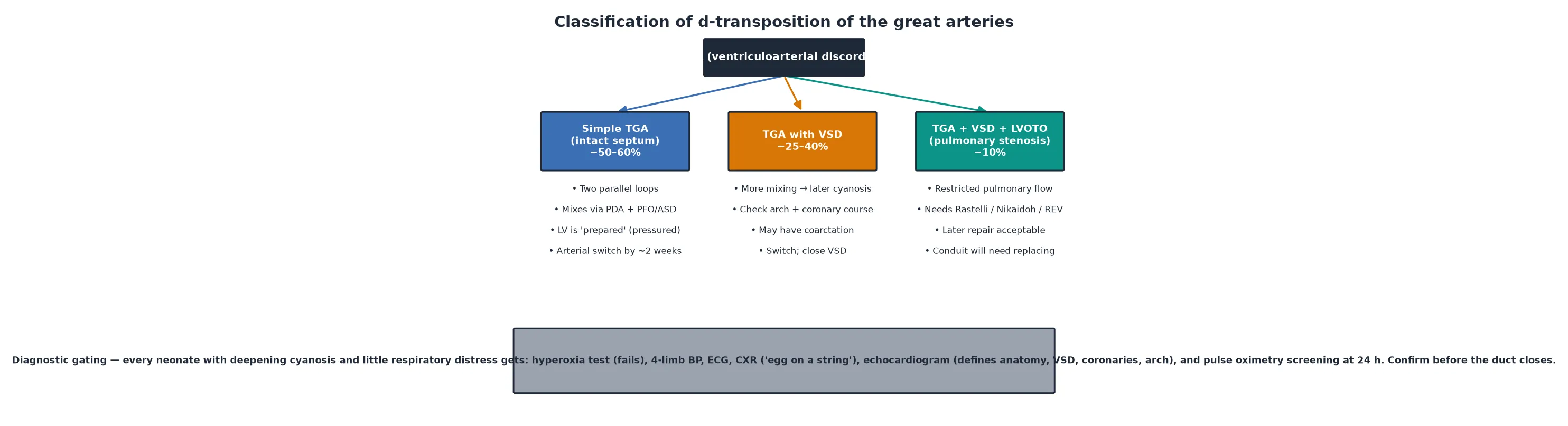 Classification tree of d-transposition of the great arteries. Top node is d-TGA with ventriculoarterial discordance. Three branches descend: simple TGA with intact septum in about 50 to 60 per cent, TGA with ventricular septal defect in about 25 to 40 per cent, and TGA with ventricular septal defect plus left ventricular outflow tract obstruction in about 10 per cent. Each branch lists key features: simple TGA mixes via the duct and atrial septum with a prepared left ventricle and is repaired by arterial switch within two weeks; TGA with VSD has more mixing and later cyanosis but requires checking the arch and coronary course; TGA with VSD and LVOTO has restricted pulmonary flow and needs a Rastelli or Nikaidoh or REV procedure with conduit replacement. A bottom band covers the diagnostic gating every neonate needs: failed hyperoxia test, four-limb blood pressures, ECG, chest X-ray showing egg on a string, echocardiogram defining anatomy and coronary pattern, and pulse oximetry screening at twenty-four hours.