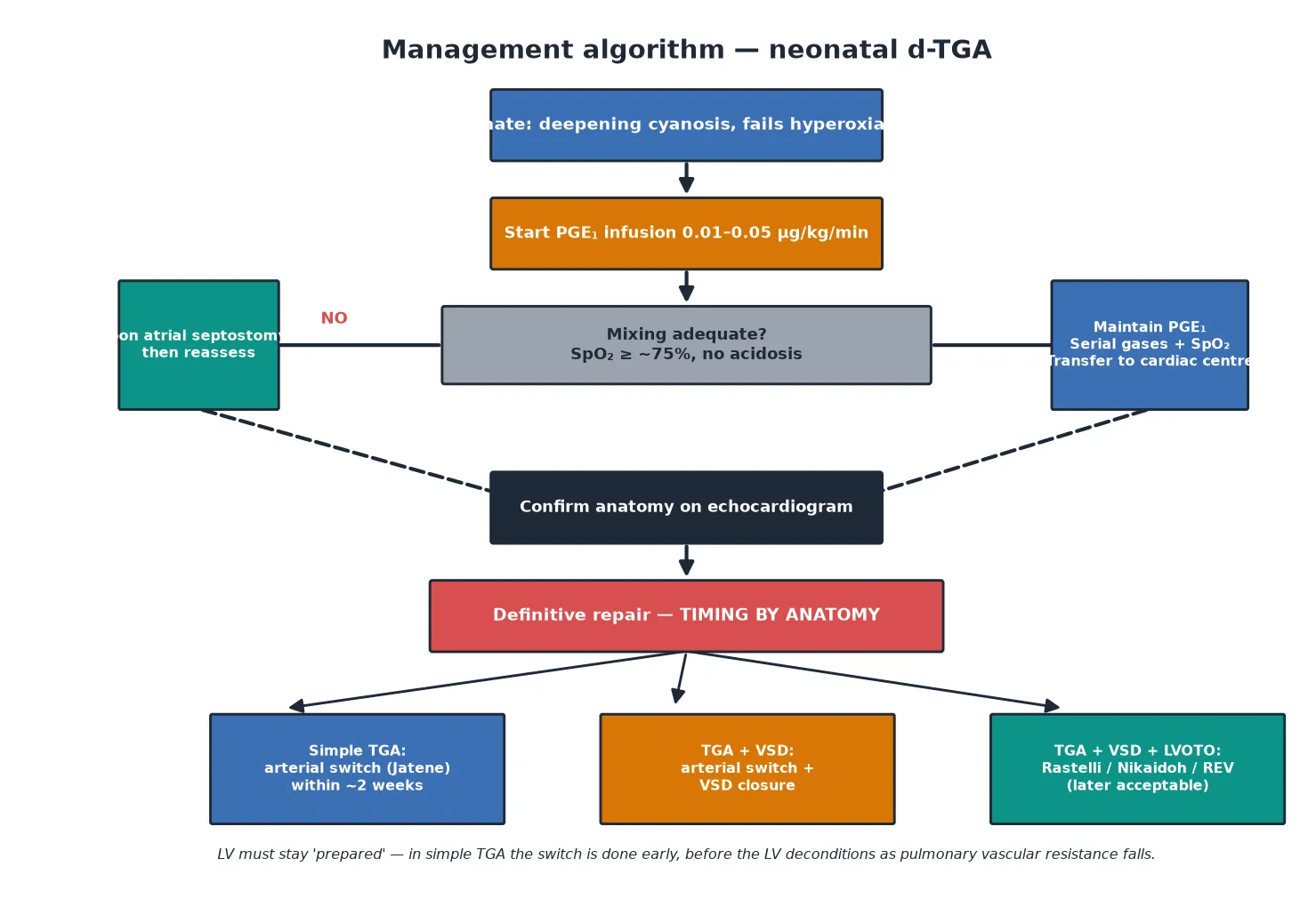 Management algorithm for neonatal d-transposition of the great arteries. Entry box: neonate with deepening cyanosis who fails the hyperoxia test. Step one: start prostaglandin E1 infusion 0.01 to 0.05 microgram per kilogram per minute. Decision: is mixing adequate, defined as saturation around 75 per cent or above with no acidosis. If no: urgent balloon atrial septostomy (Rashkind) then reassess. If yes: maintain prostaglandin E1, serial gases and saturations, transfer to a cardiac centre. Both paths converge on confirm anatomy by echocardiogram. Definitive repair timing depends on anatomy: simple TGA gets arterial switch within about two weeks, TGA with VSD gets arterial switch plus VSD closure, TGA with VSD and LVOTO gets Rastelli or Nikaidoh or REV with later repair acceptable. A caveat states the left ventricle must stay prepared so the switch is done early before it deconditions.
