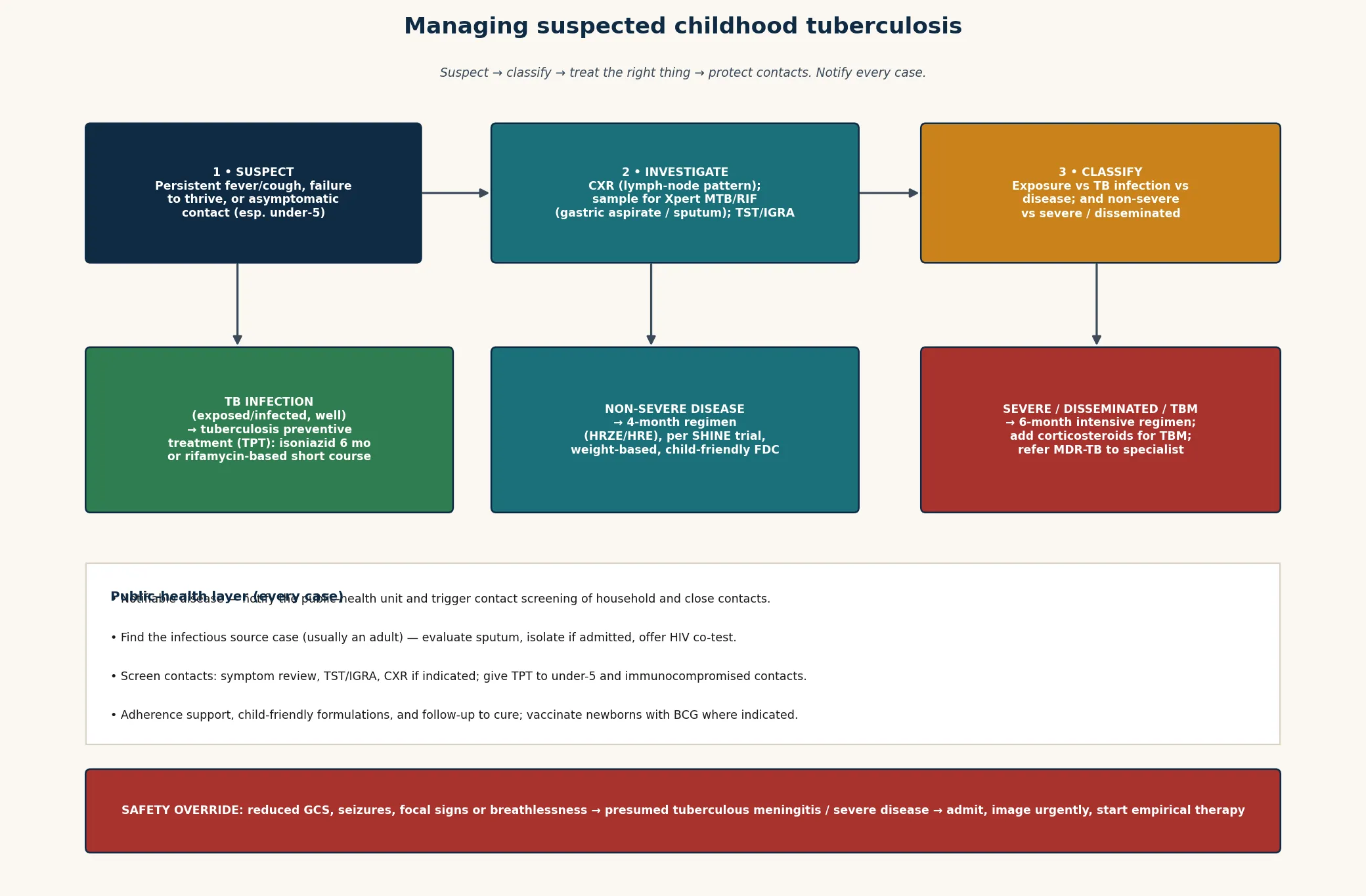 Stepwise management algorithm showing suspect, investigate and classify steps feeding into three treatment branches (TB infection gets preventive treatment; non-severe disease gets a 4-month regimen; severe, disseminated or tuberculous meningitis gets a 6-month regimen with corticosteroids and MDR referral), over a public-health layer covering notification, contact tracing, source-case finding and adherence support, with a safety-override bar for presumed tuberculous meningitis or severe disease