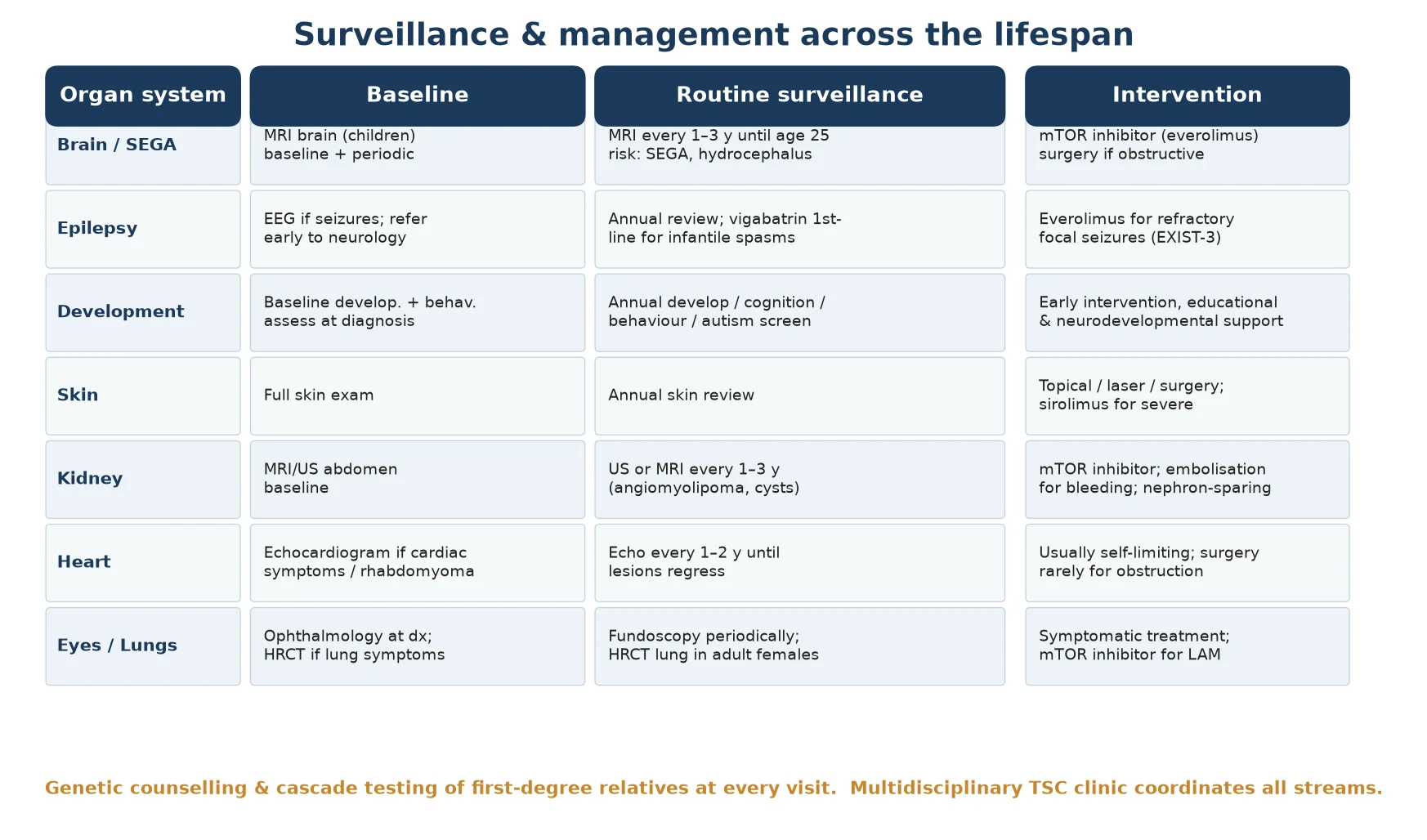 Organ-by-organ surveillance and intervention framework for tuberous sclerosis complex presented as a table with rows for brain or SEGA, epilepsy, development, skin, kidney, heart and eyes or lungs, each row giving the baseline assessment, the routine surveillance schedule and the intervention, ending with a footer that genetic counselling and cascade testing apply at every visit and a multidisciplinary clinic coordinates all streams
