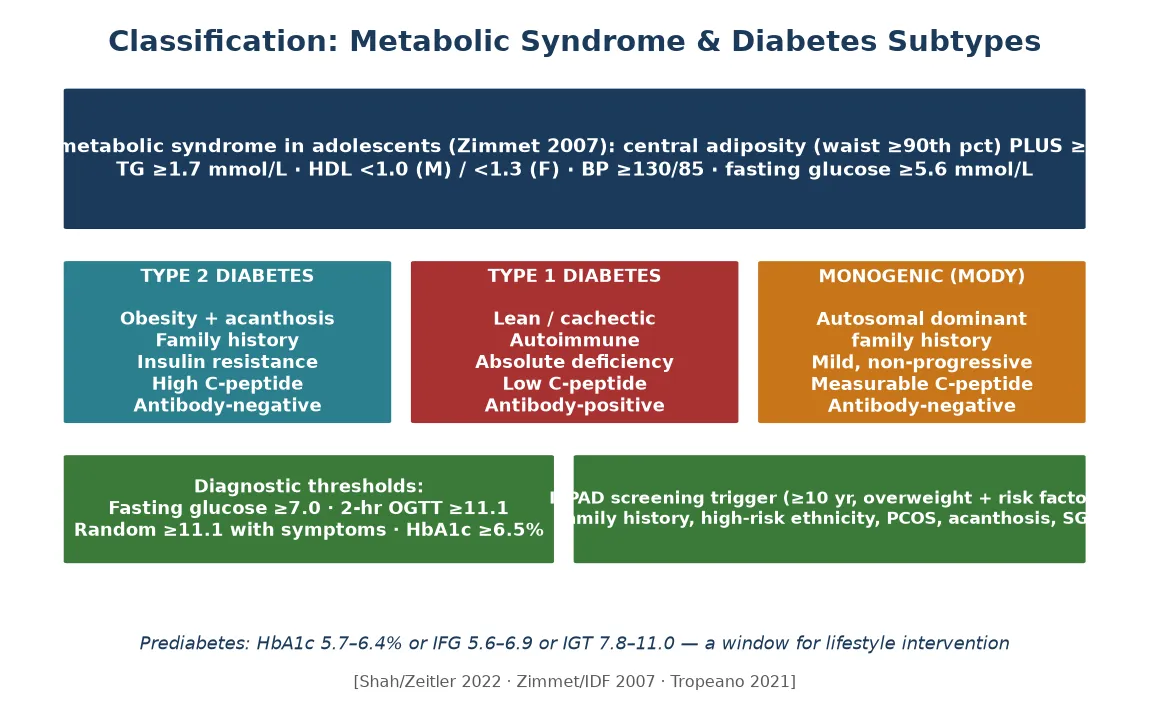 Classification diagram showing the IDF metabolic syndrome criteria for adolescents beside the aetiological split of type 2 versus type 1 versus monogenic diabetes, with diagnostic thresholds and the ISPAD screening trigger.