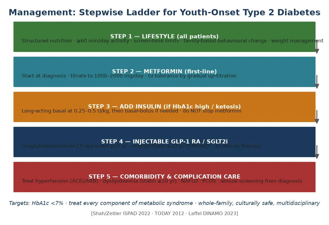 Management ladder diagram showing the five steps from lifestyle through metformin, insulin, GLP-1 and SGLT2 inhibitors, to comorbidity and complication care.