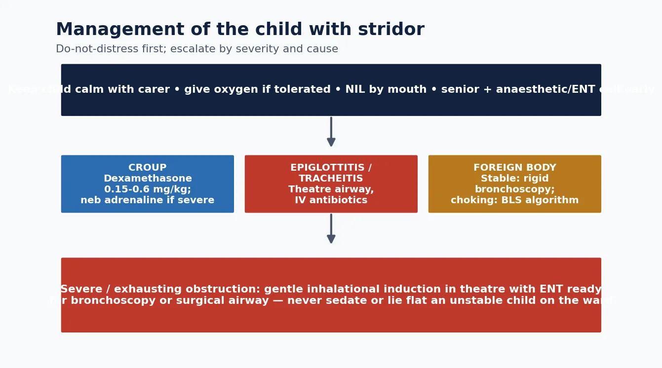 Management algorithm for the child with stridor showing the do-not-distress foundation of keeping the child calm with the carer, oxygen if tolerated, nil by mouth and early senior anaesthetic and ENT involvement, then cause-specific limbs for croup with dexamethasone and nebulised adrenaline, epiglottitis and bacterial tracheitis needing a theatre airway and intravenous antibiotics, and foreign body needing rigid bronchoscopy or the choking algorithm, with severe obstruction escalating to gentle inhalational induction in theatre