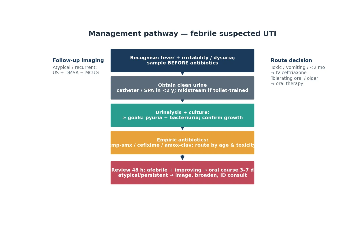 Stepwise management flowchart for paediatric urinary tract infection and pyelonephritis from recognition and urine sampling through urinalysis and culture, empiric antibiotic selection, oral versus intravenous route decision, and selective follow-up imaging.