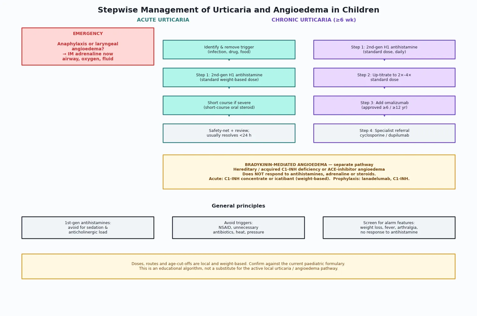 Reviewed educational schematic of a stepwise management pathway separating the emergency airway or anaphylaxis track, the acute urticaria track, the chronic urticaria step-up ladder from standard-dose antihistamine through omalizumab, and the separate bradykinin-mediated angioedema pathway requiring C1-inhibitor concentrate or icatibant