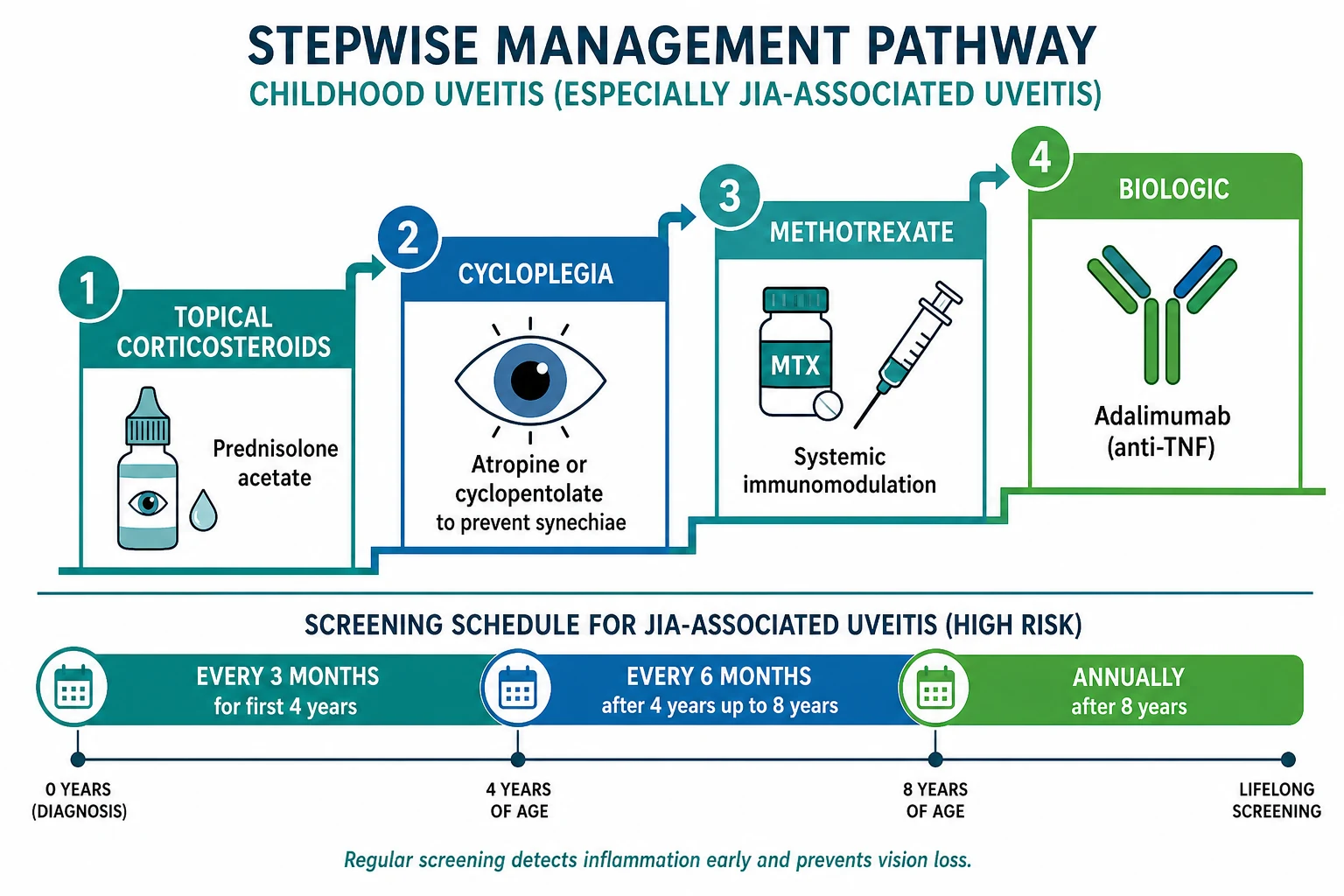 Four-step treatment ladder shown left to right: step one topical corticosteroid prednisolone acetate 1 percent eye drops with a cycloplegic atropine or cyclopentolate; step two systemic methotrexate pill and subcutaneous syringe at 10 to 15 mg per square metre per week; step three biologic adalimumab antibody at 24 mg per square metre every two weeks; step four local steroid injection or implant for refractory disease. Below the ladder a horizontal screening schedule bar shows high-risk children screened every 3 months for the first 4 years, then every 6 months, then annually.